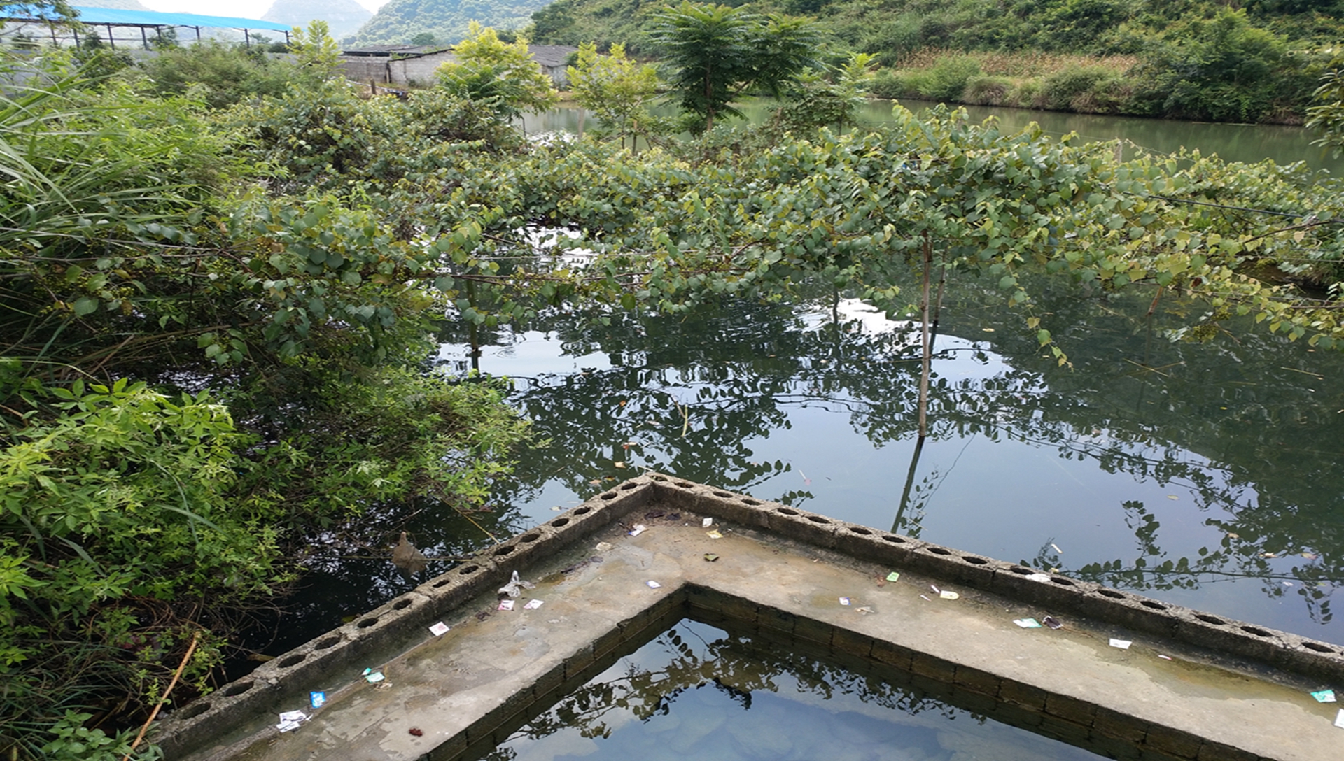 水源水库