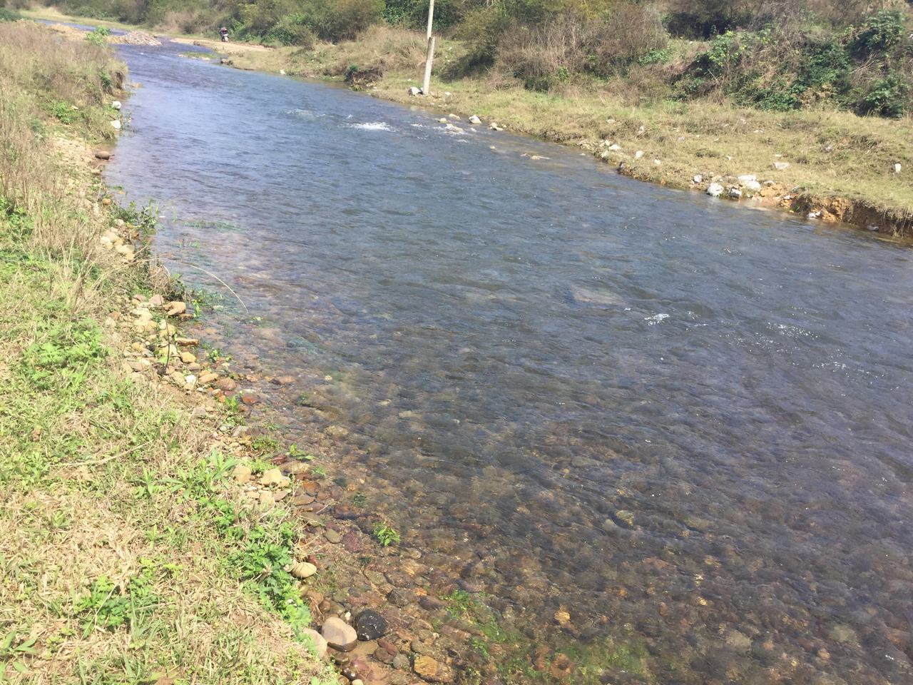 东宅河