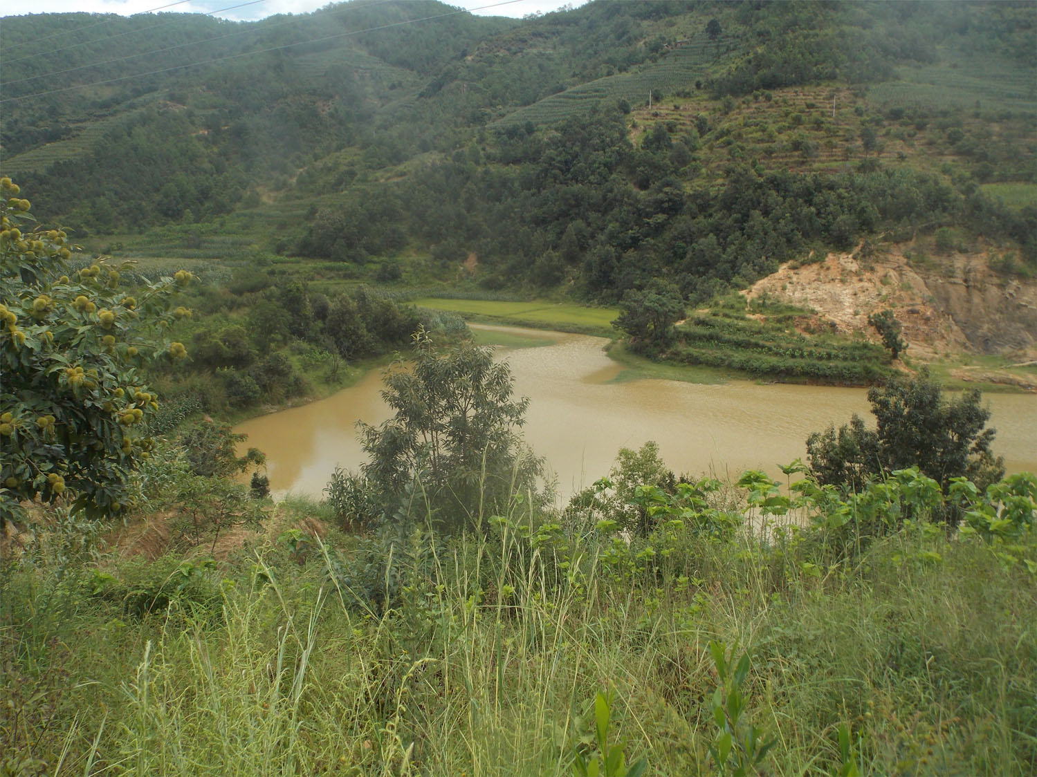 鲁母水库