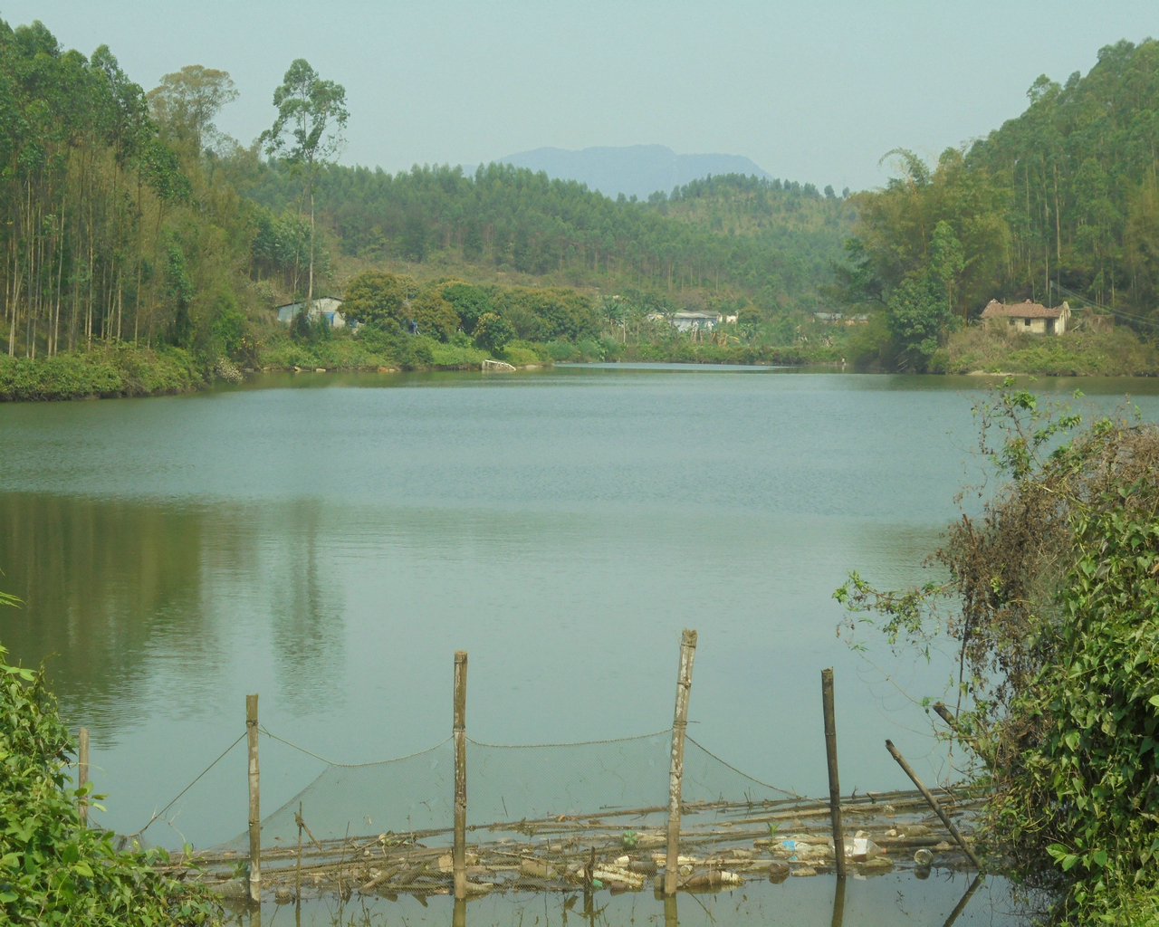 西坑水库