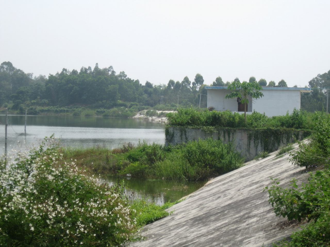 永明水库