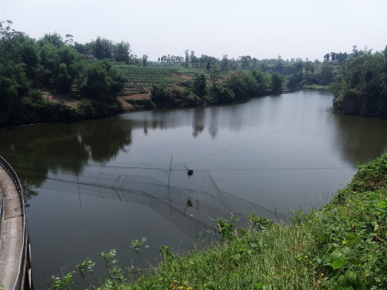 陈家沟水库