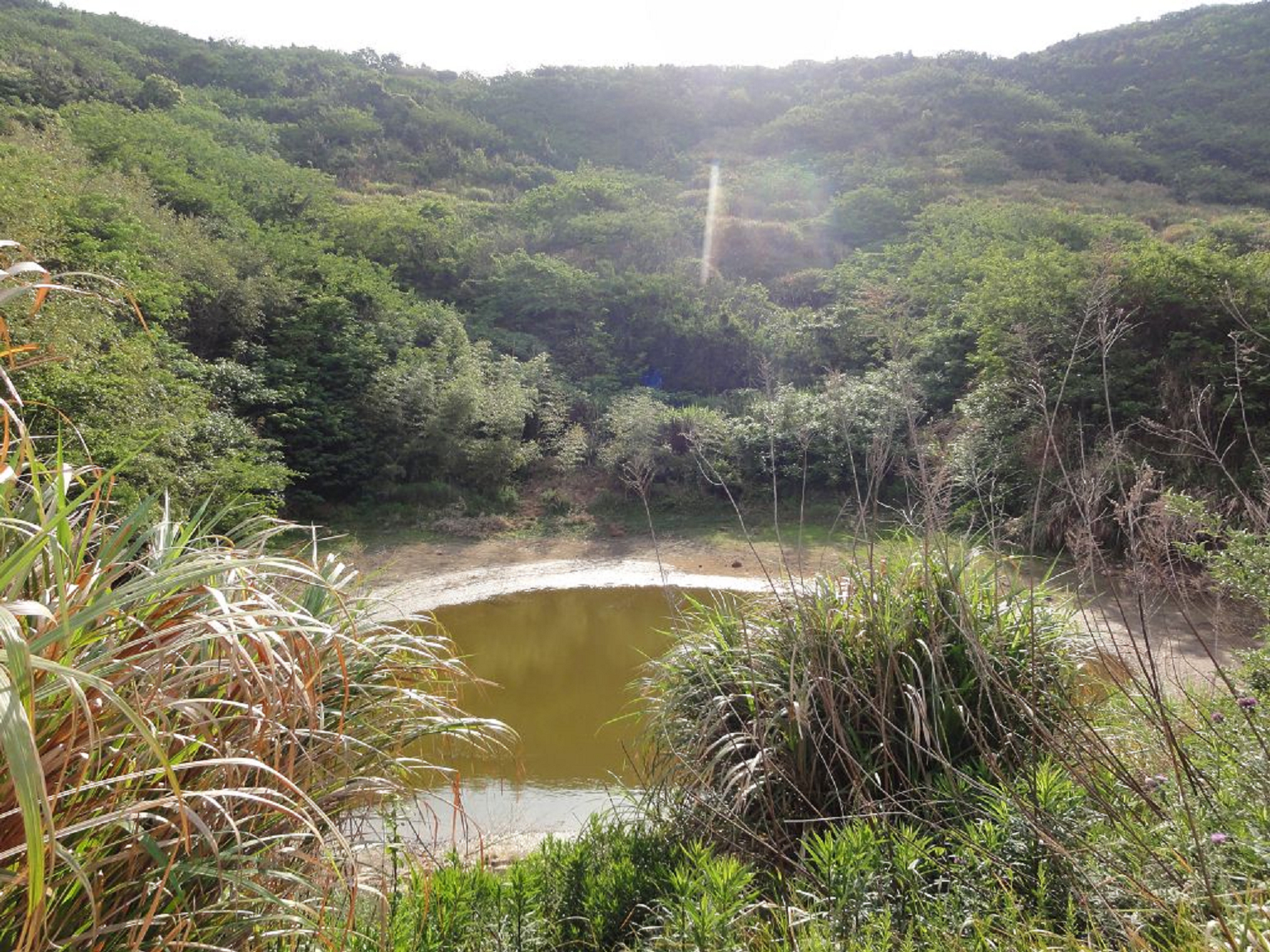 柴家坑山塘