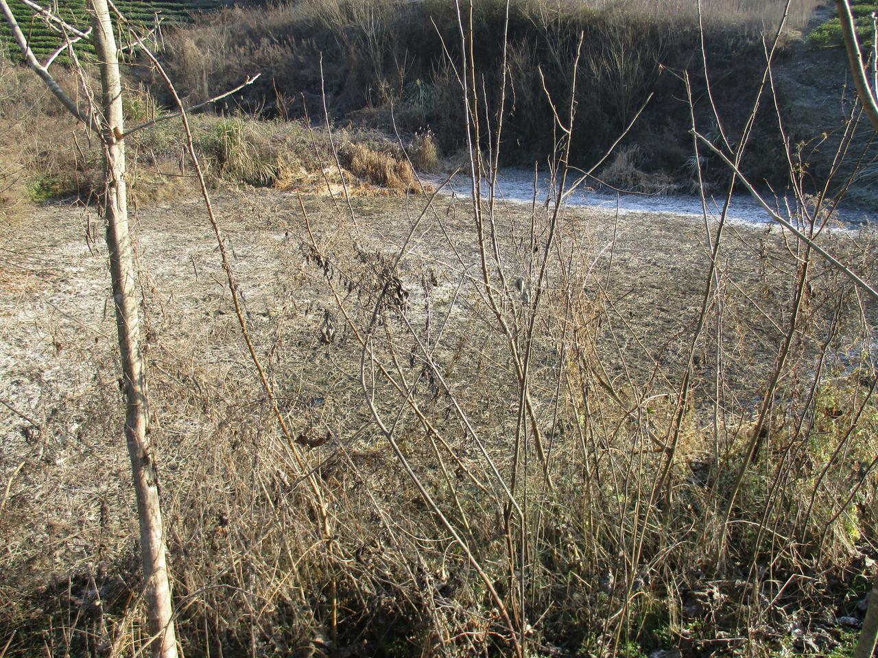 石底河水库