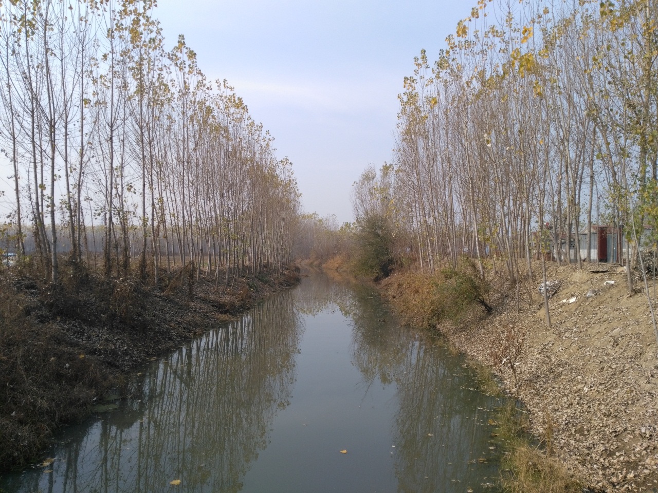 青龙湾减河