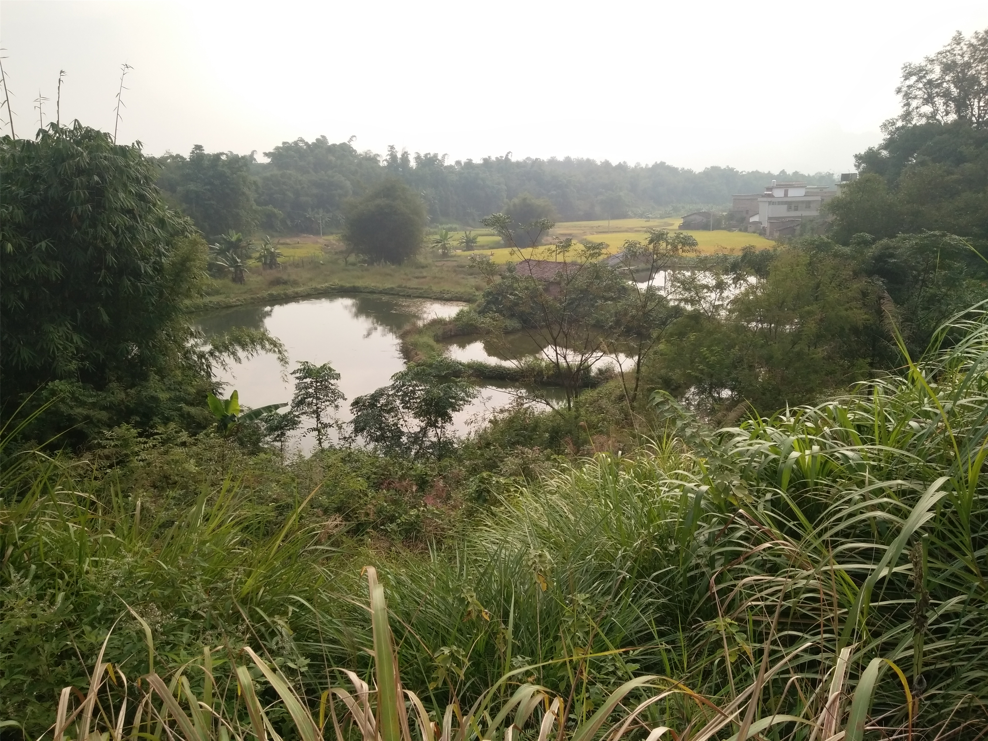 石寨背水库