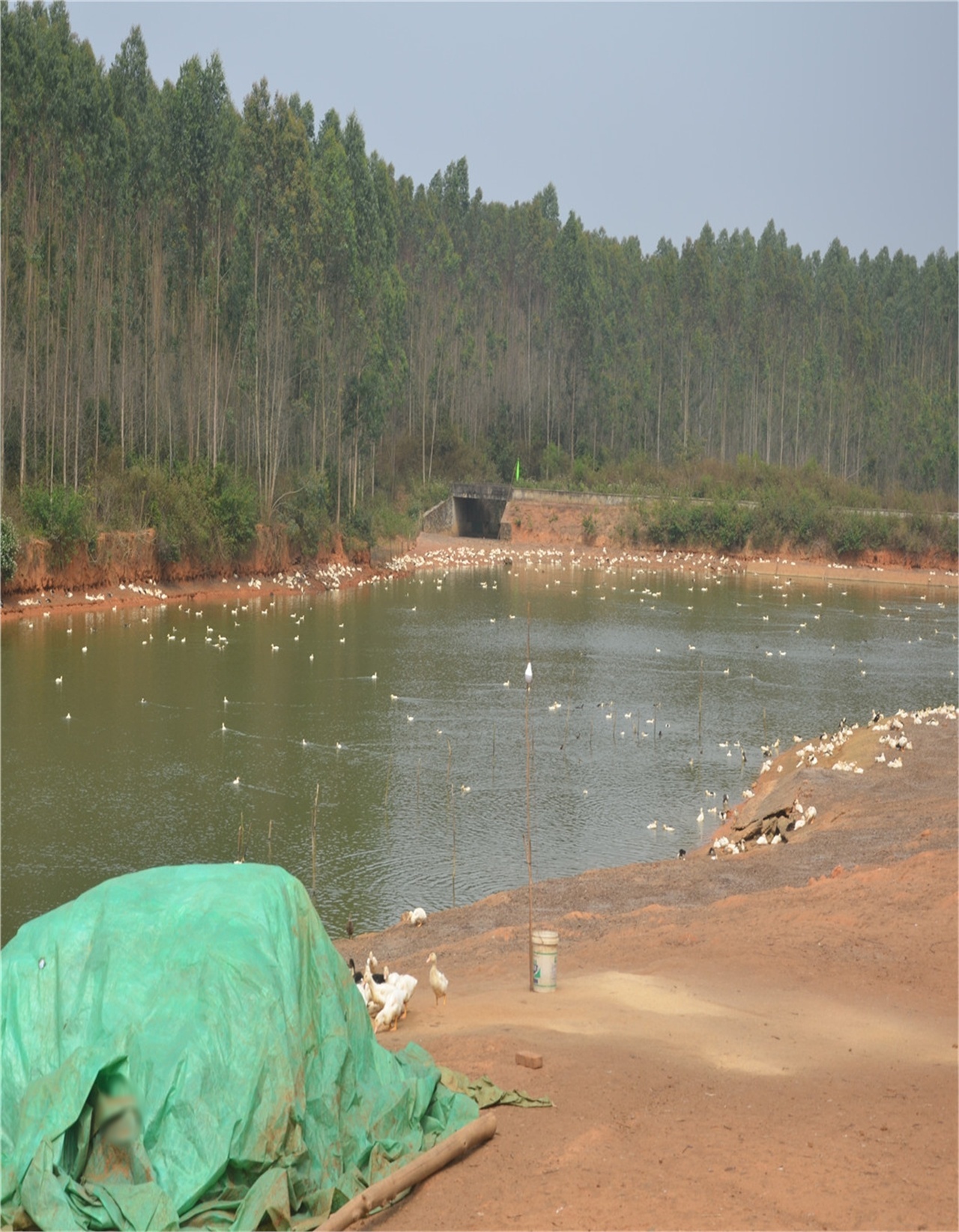 陈家水库