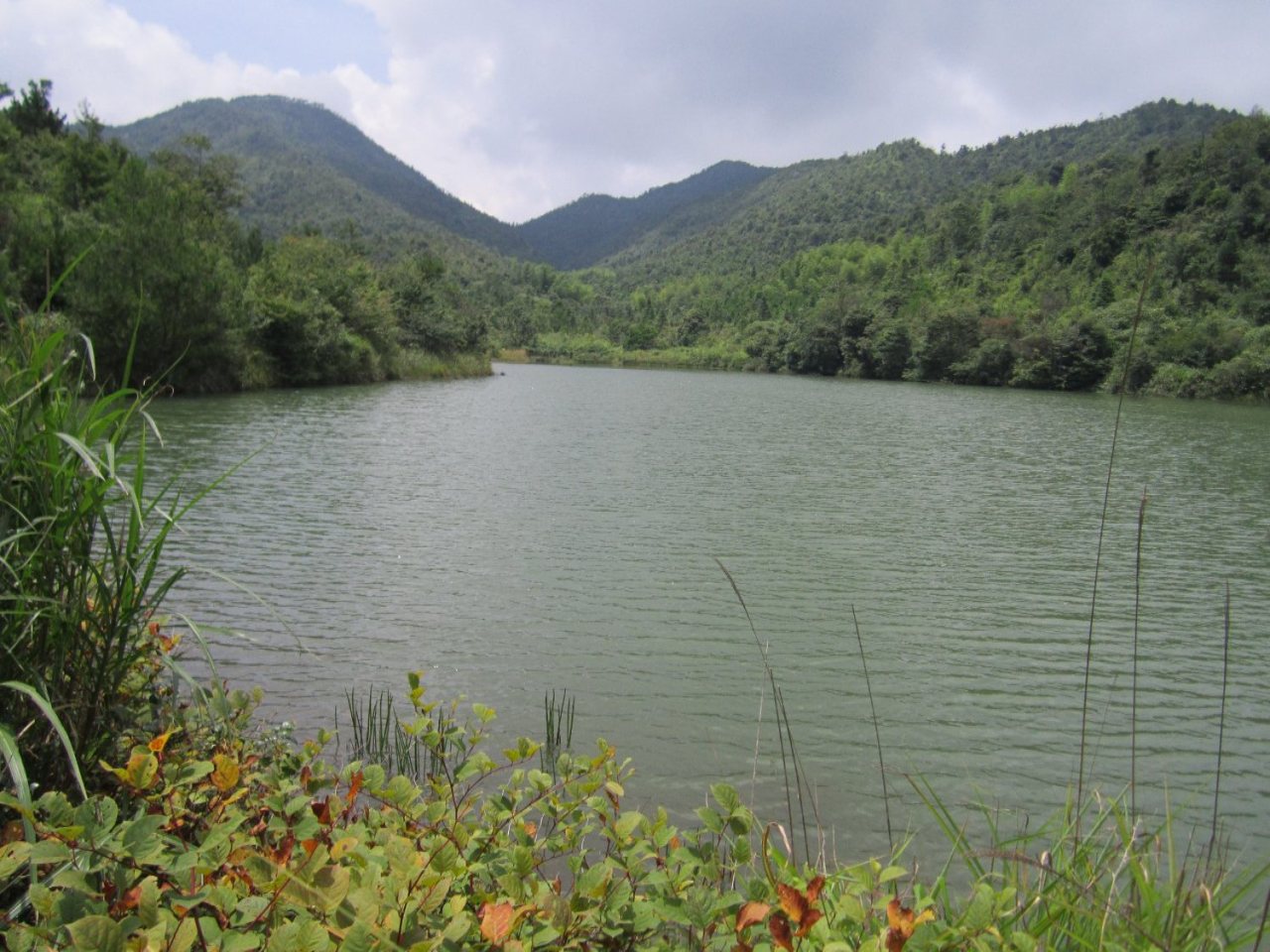 顶峰水库