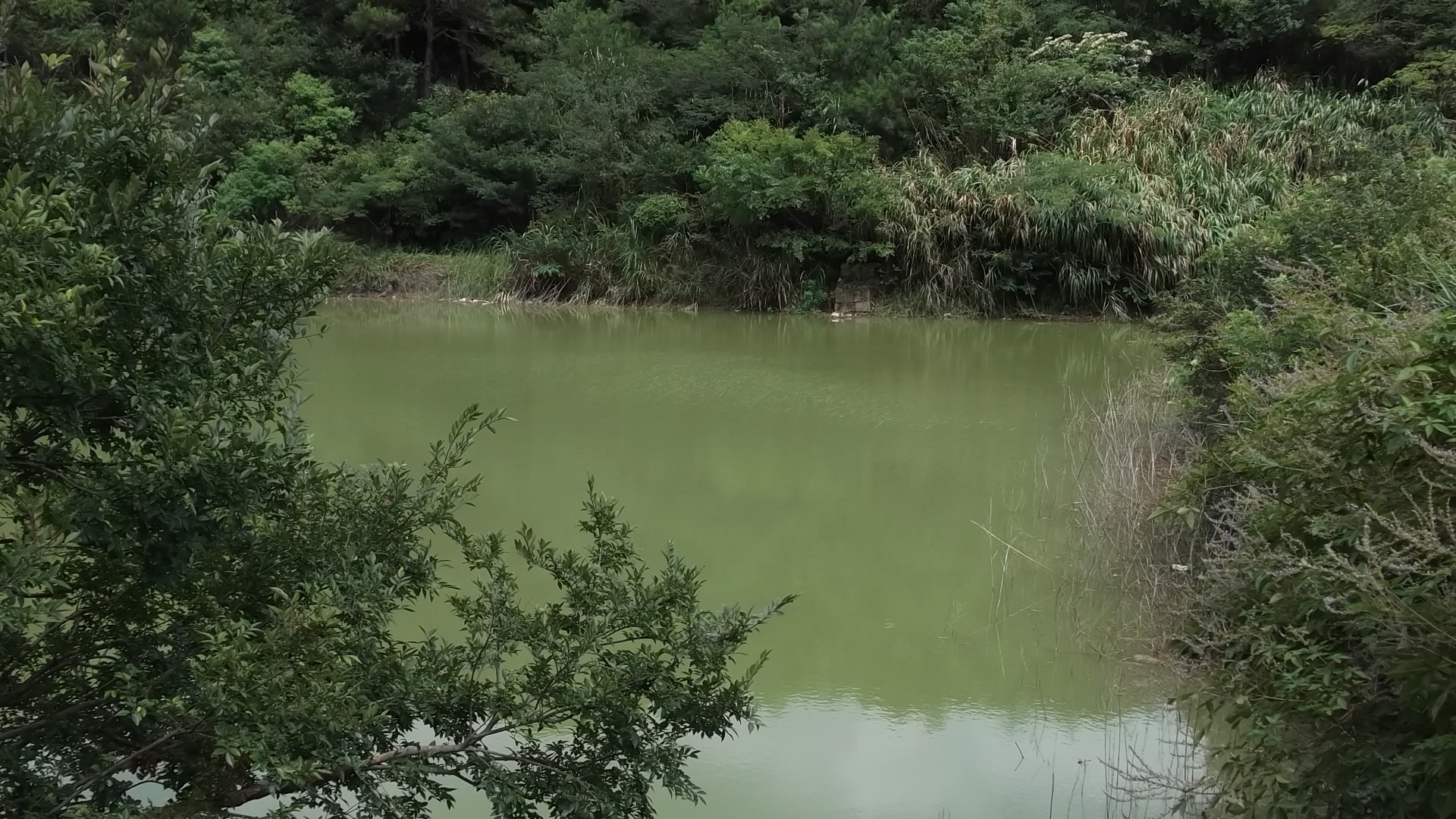 长沙水库