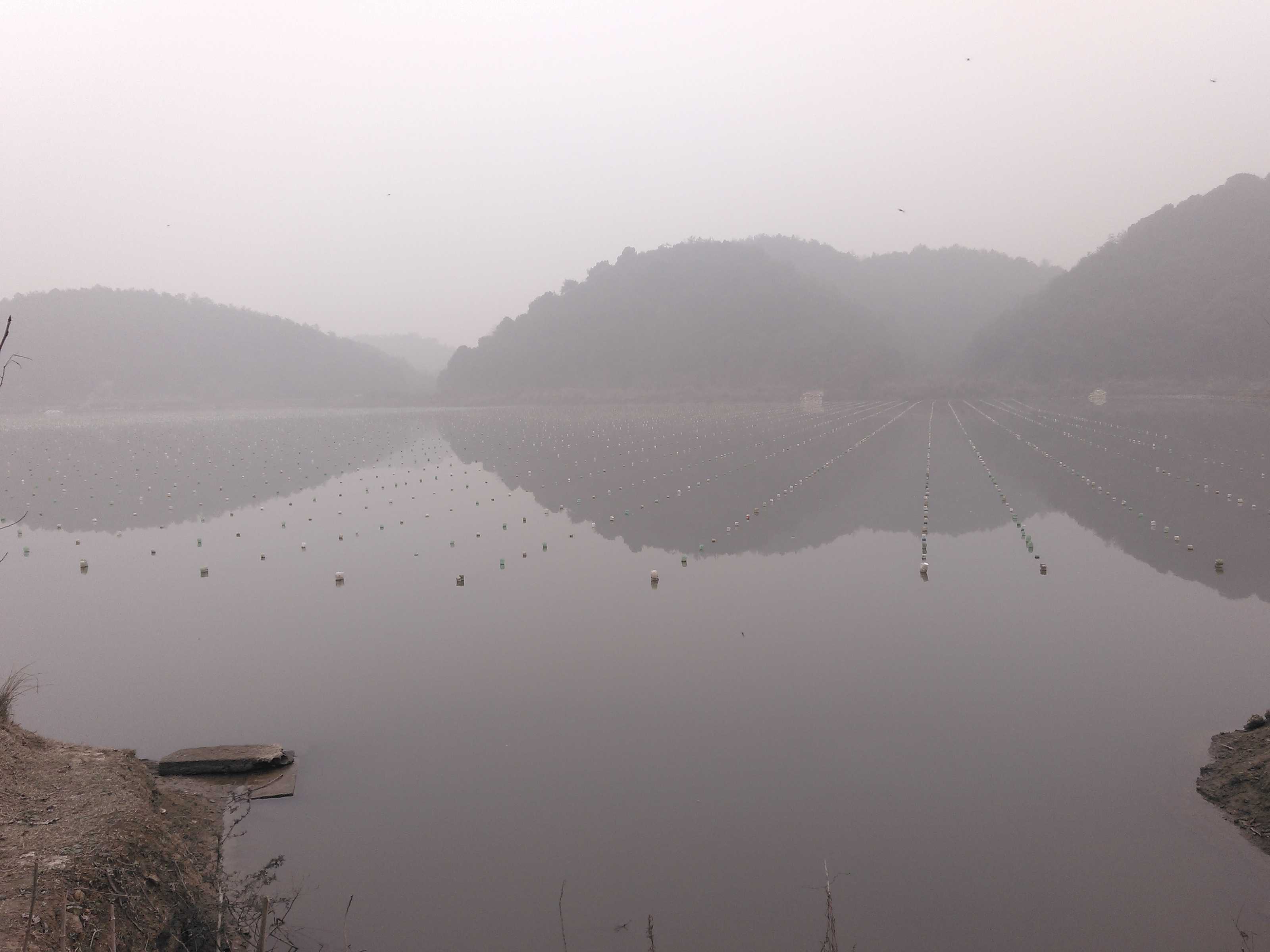 马桥湖