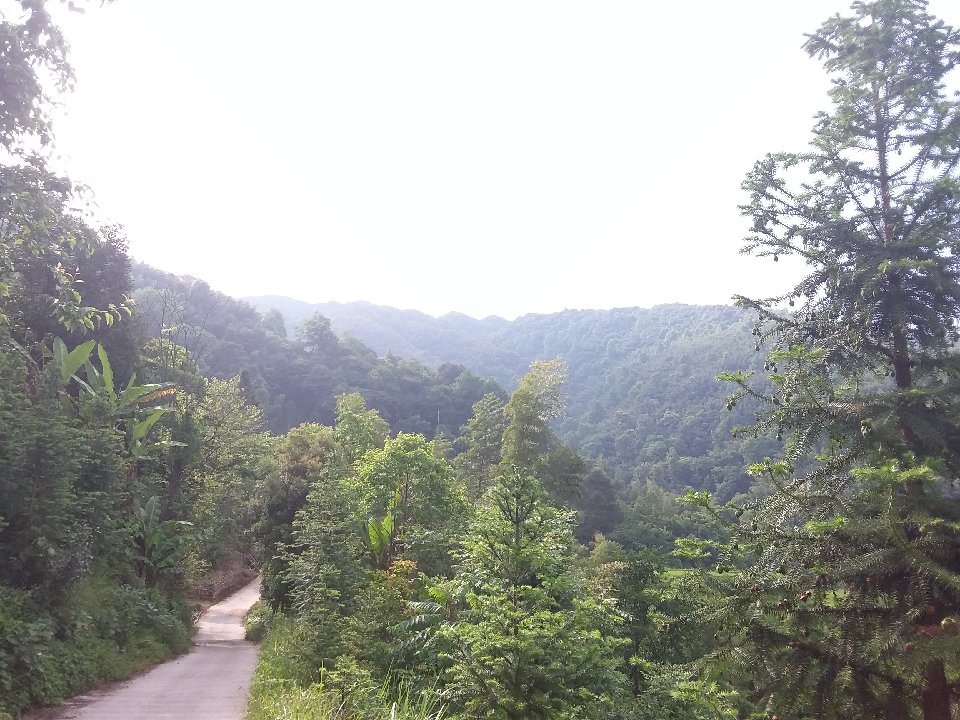 国家森林公园太平山景区