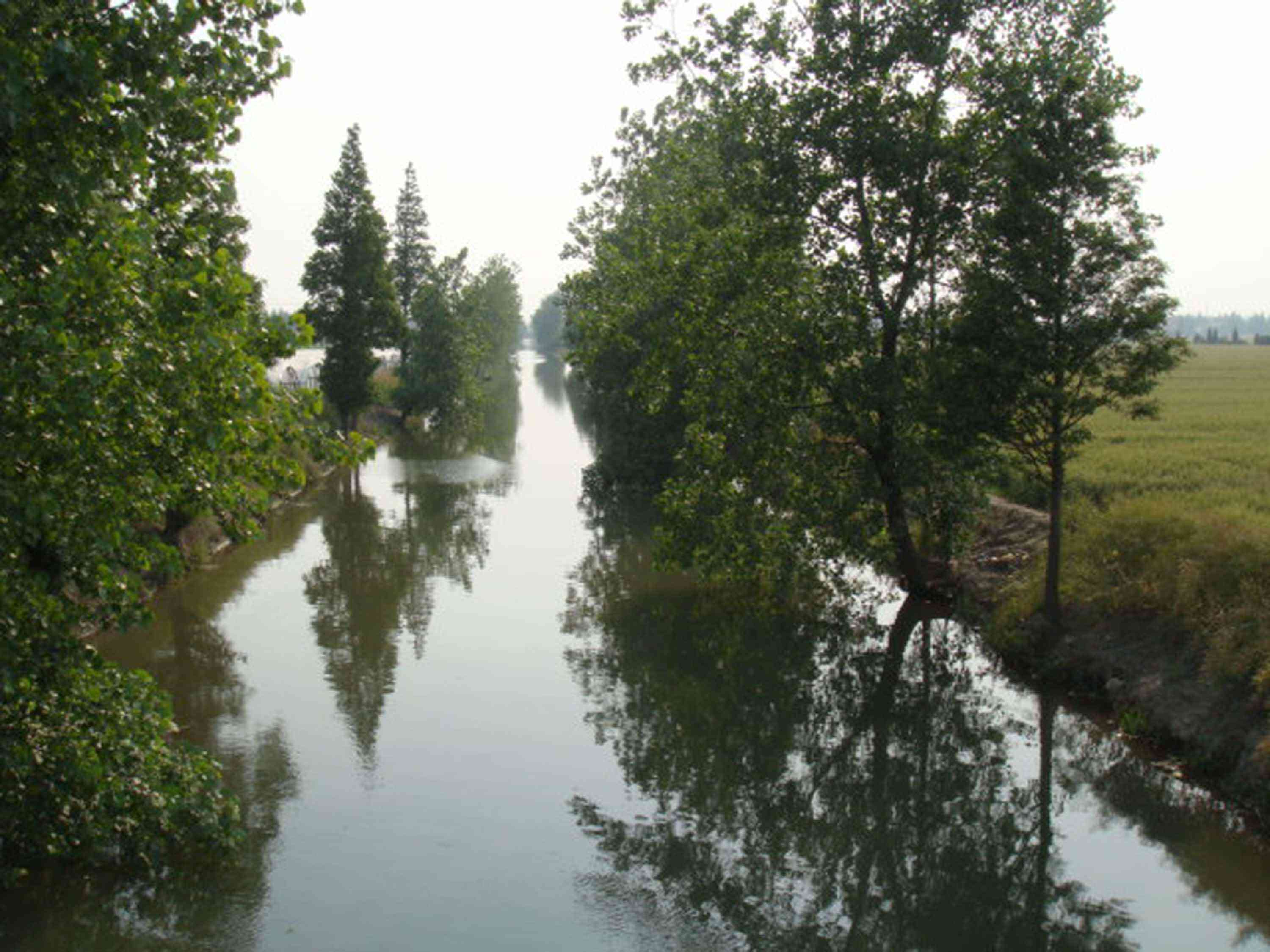 和平中心南横河