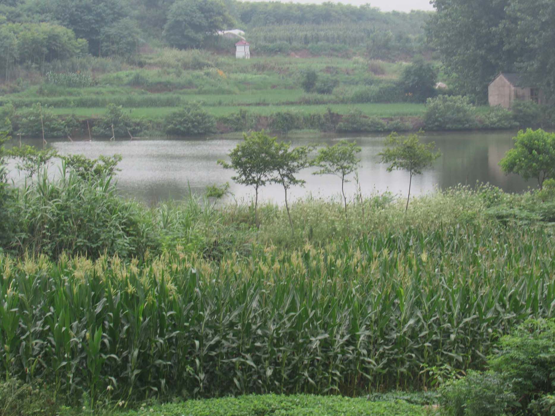 曹建垄水库