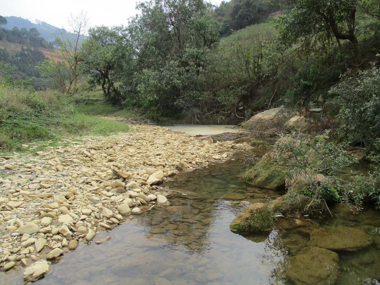 设里河纳圭河湾