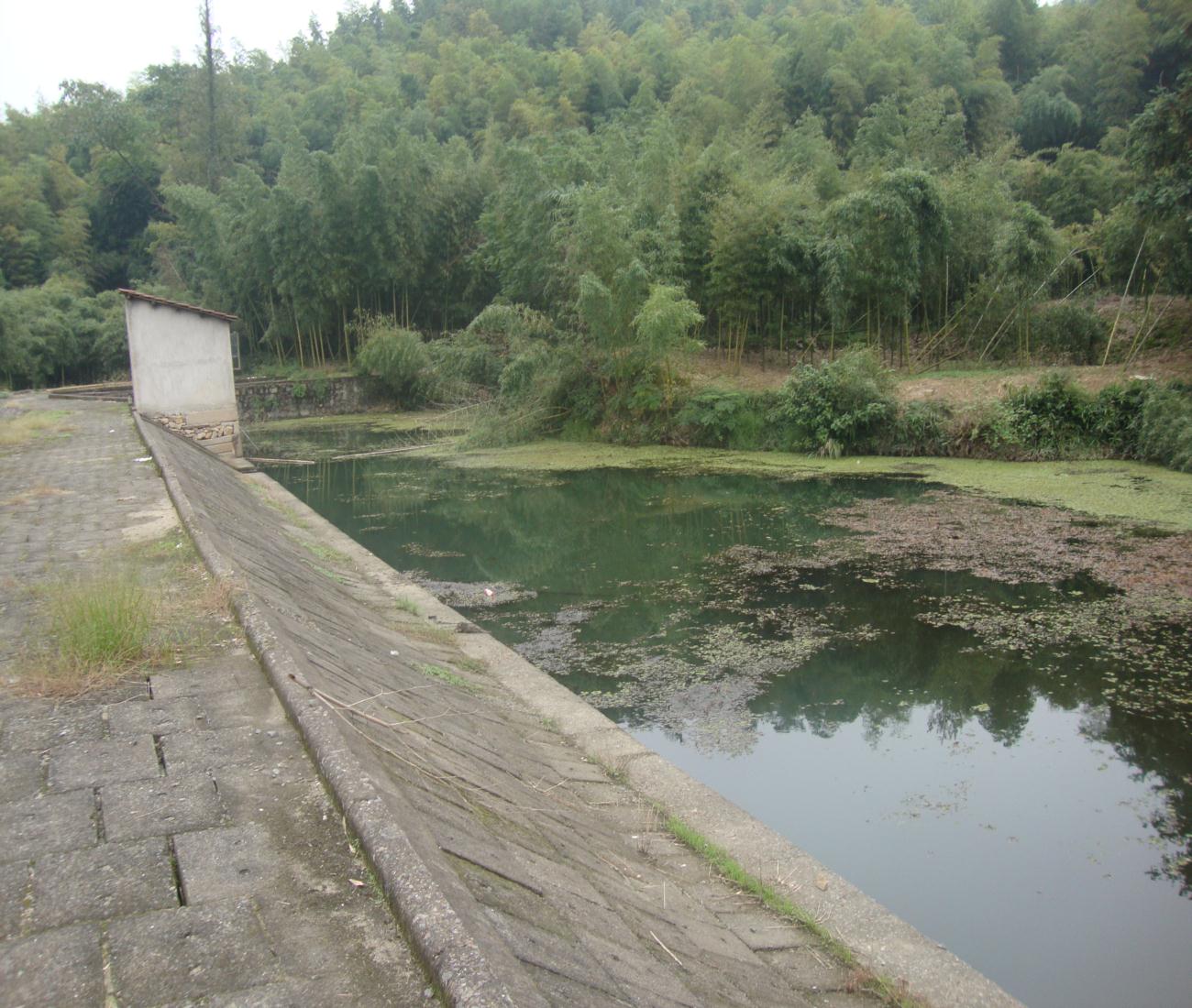 西岙水库