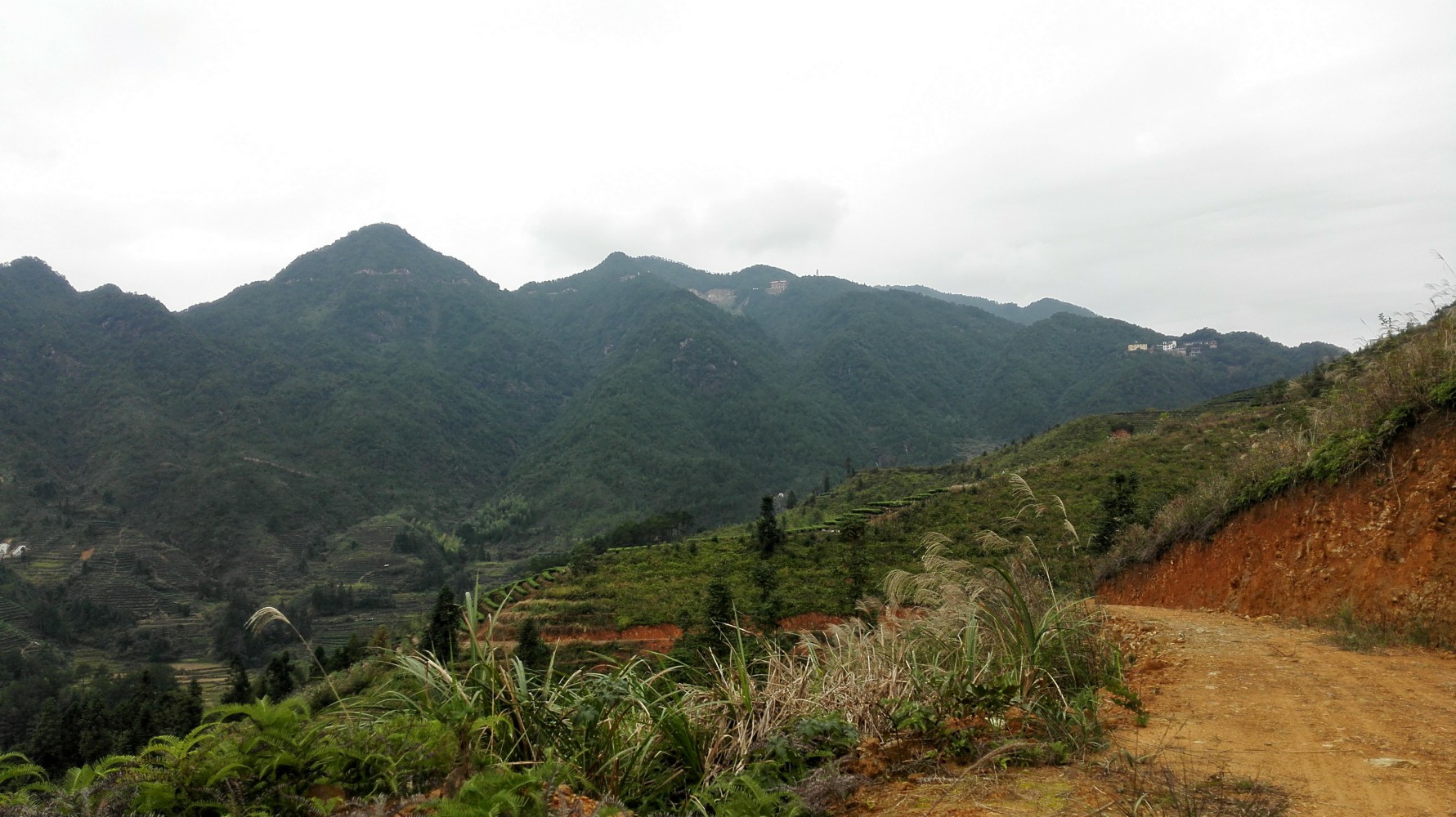 金鸡山风景区