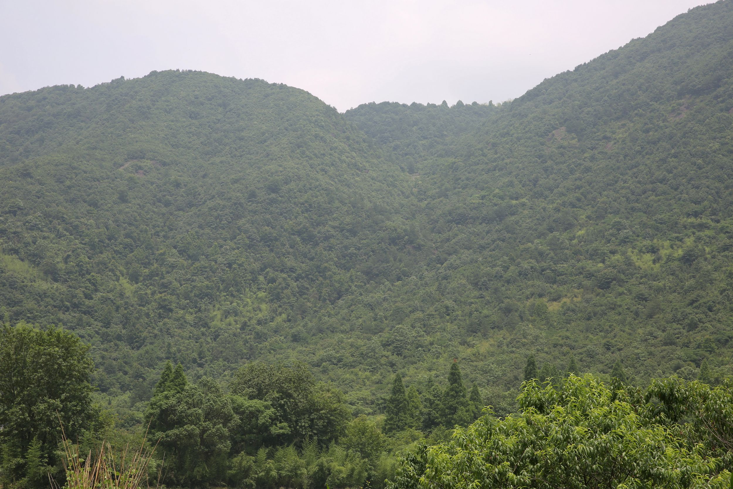 永安山双涧飞泉