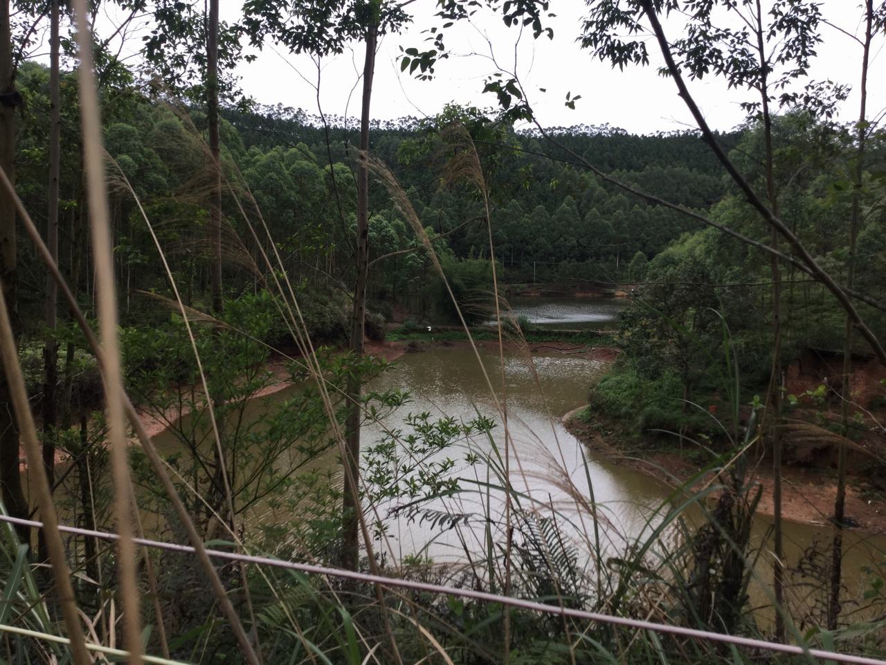 马头岭水库