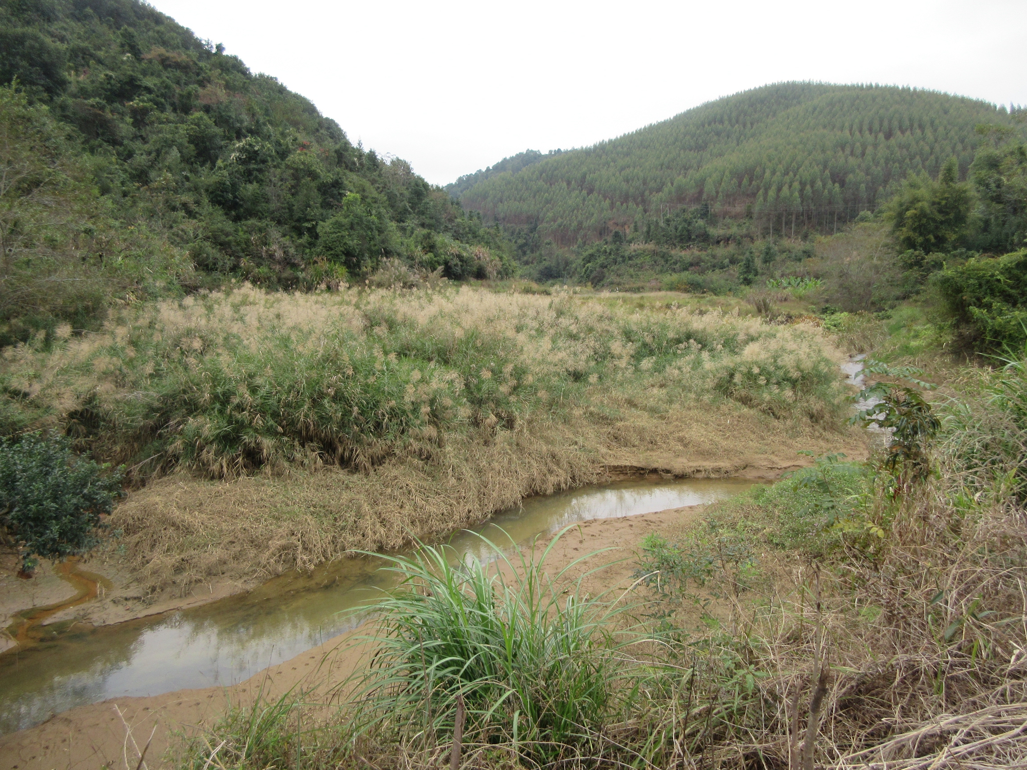 老虎陂水库