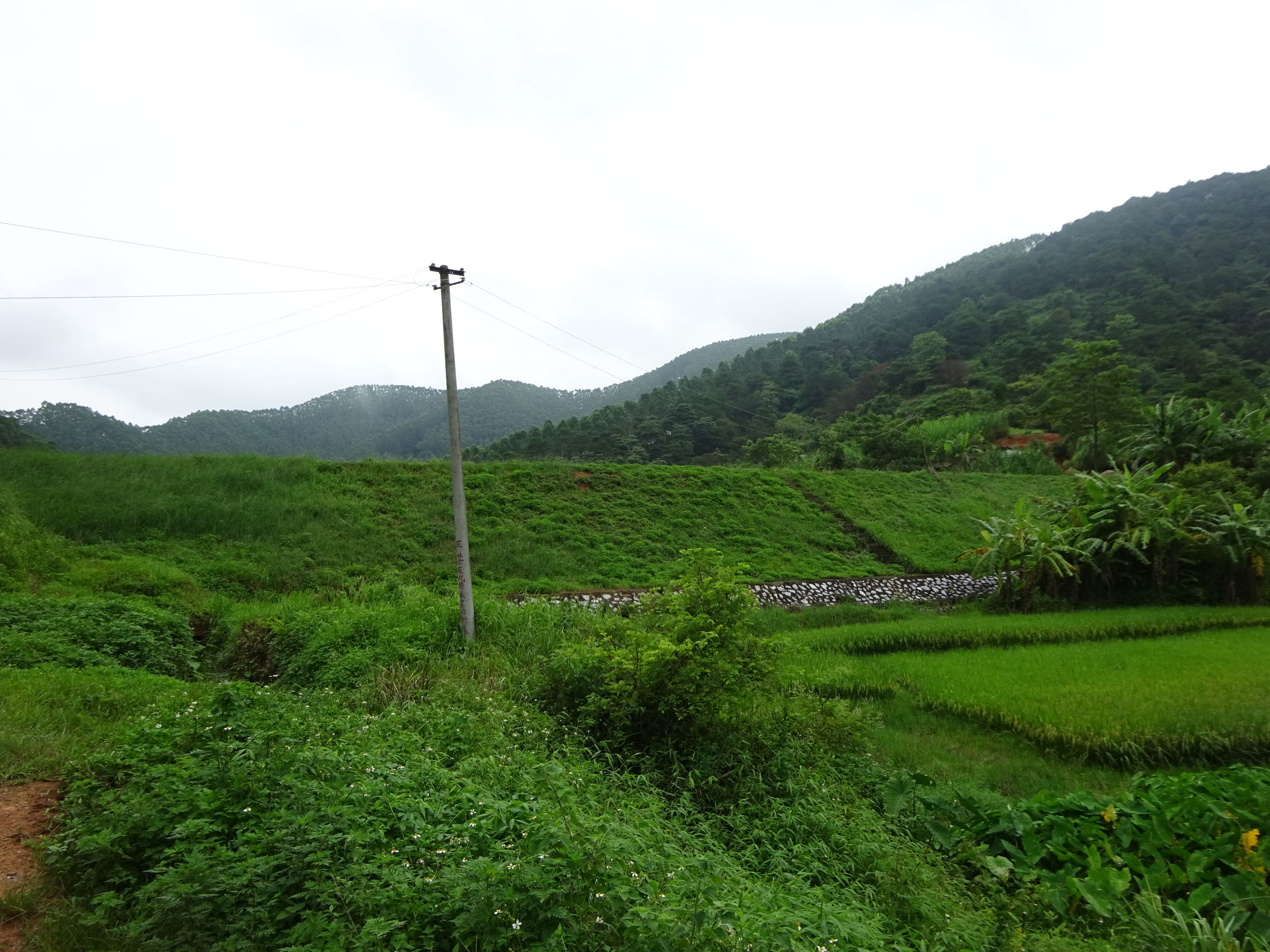 九珠岭水库