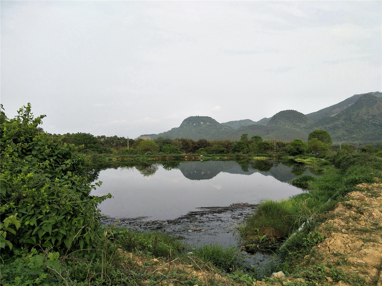 榕树坑水库