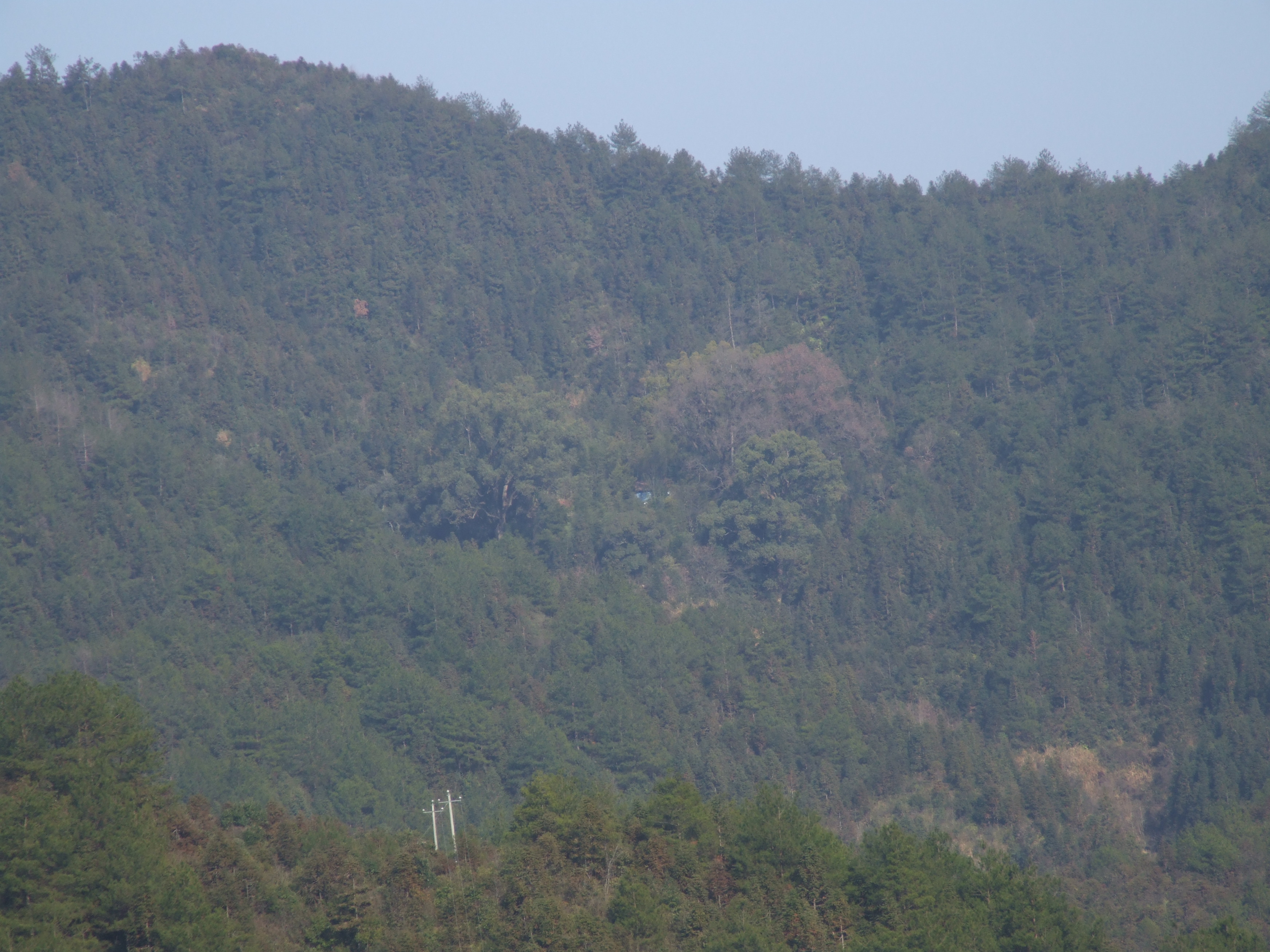 目岭自然保护小区