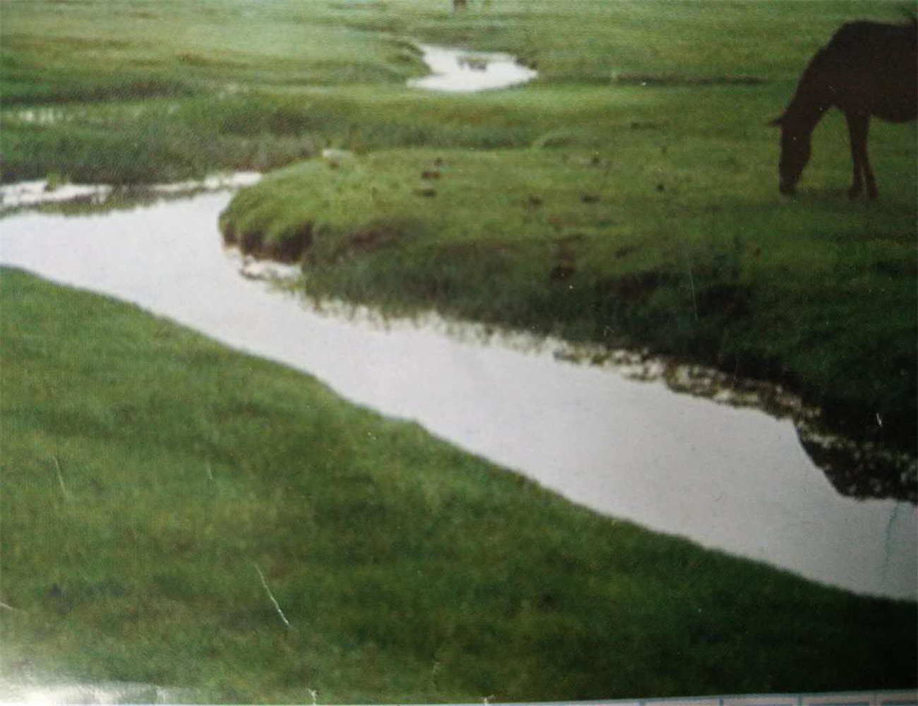 饮马河湿地