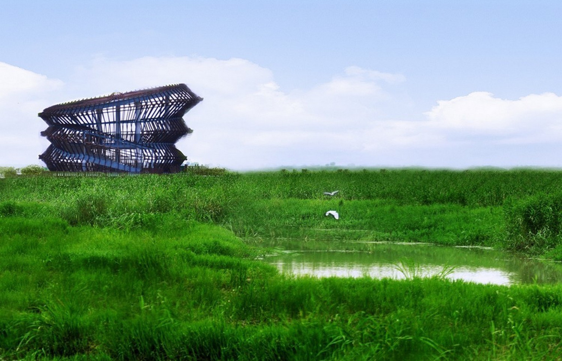 江苏泗洪洪泽湖湿地自然保护区