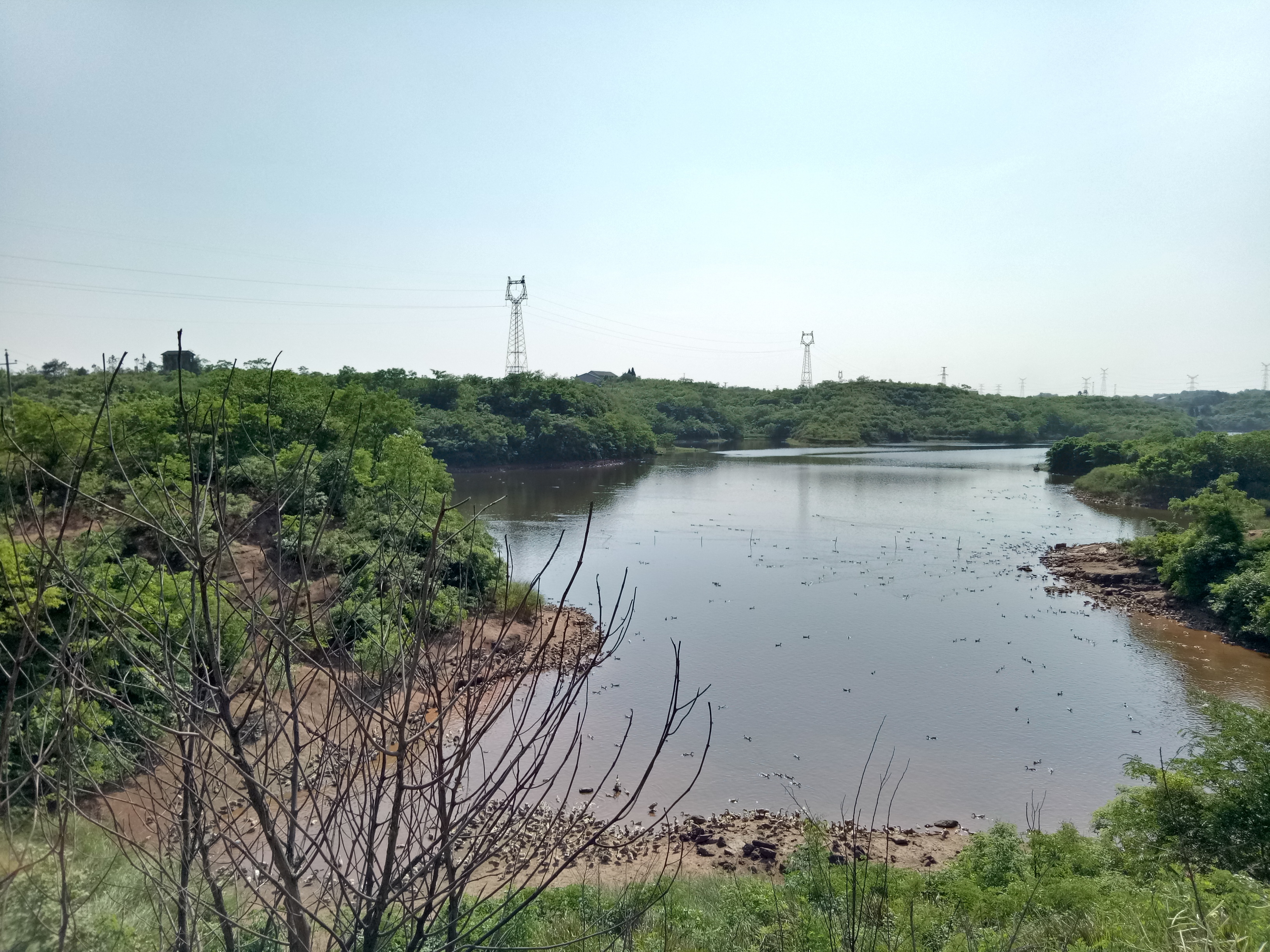 樟树乡石冲水库