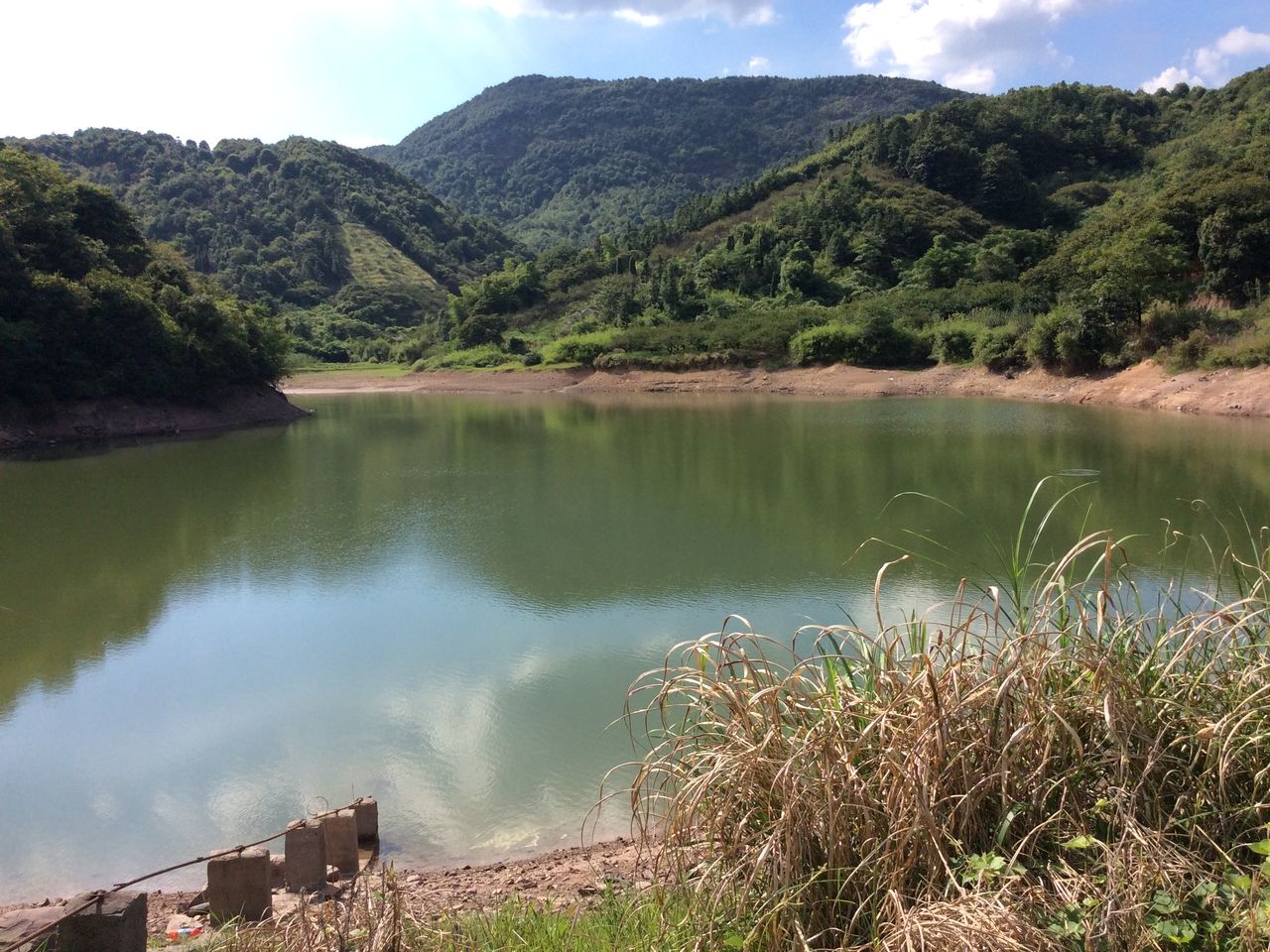 王岙山塘