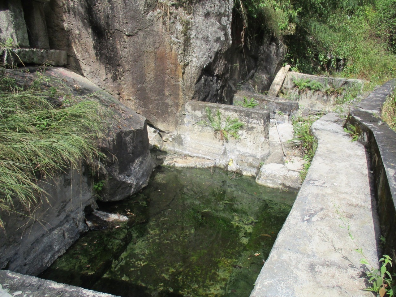 树根龙温泉