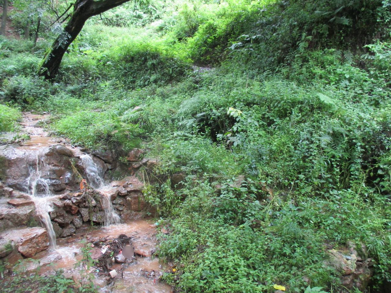 水井沟