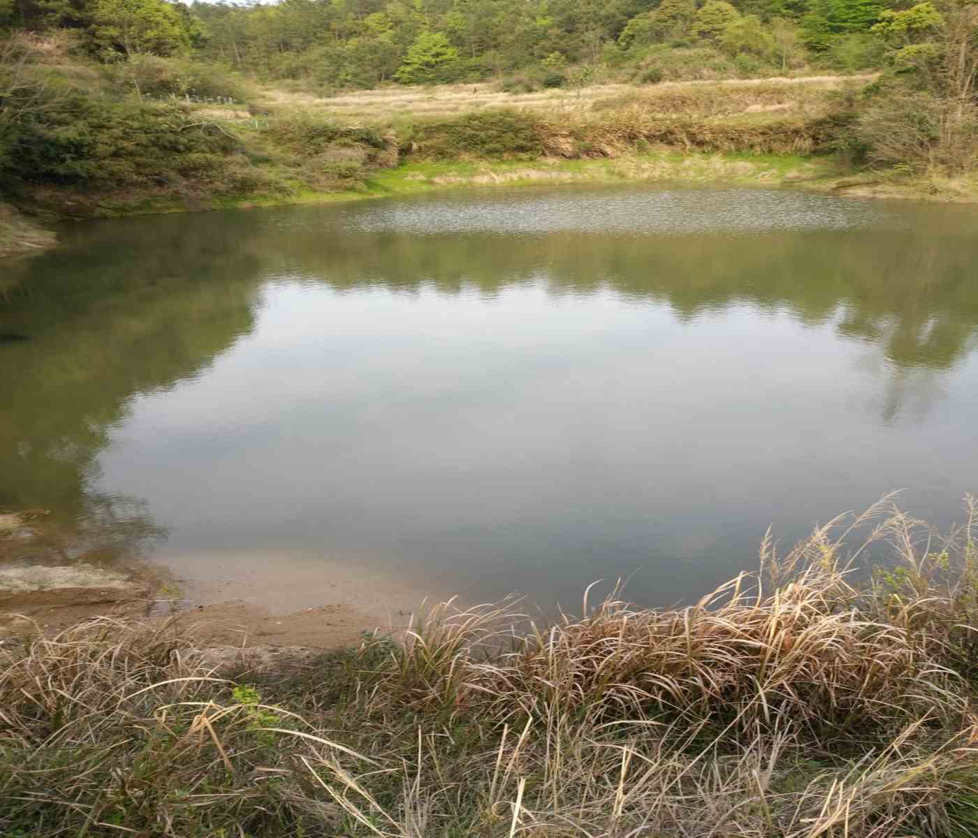 下冲水库