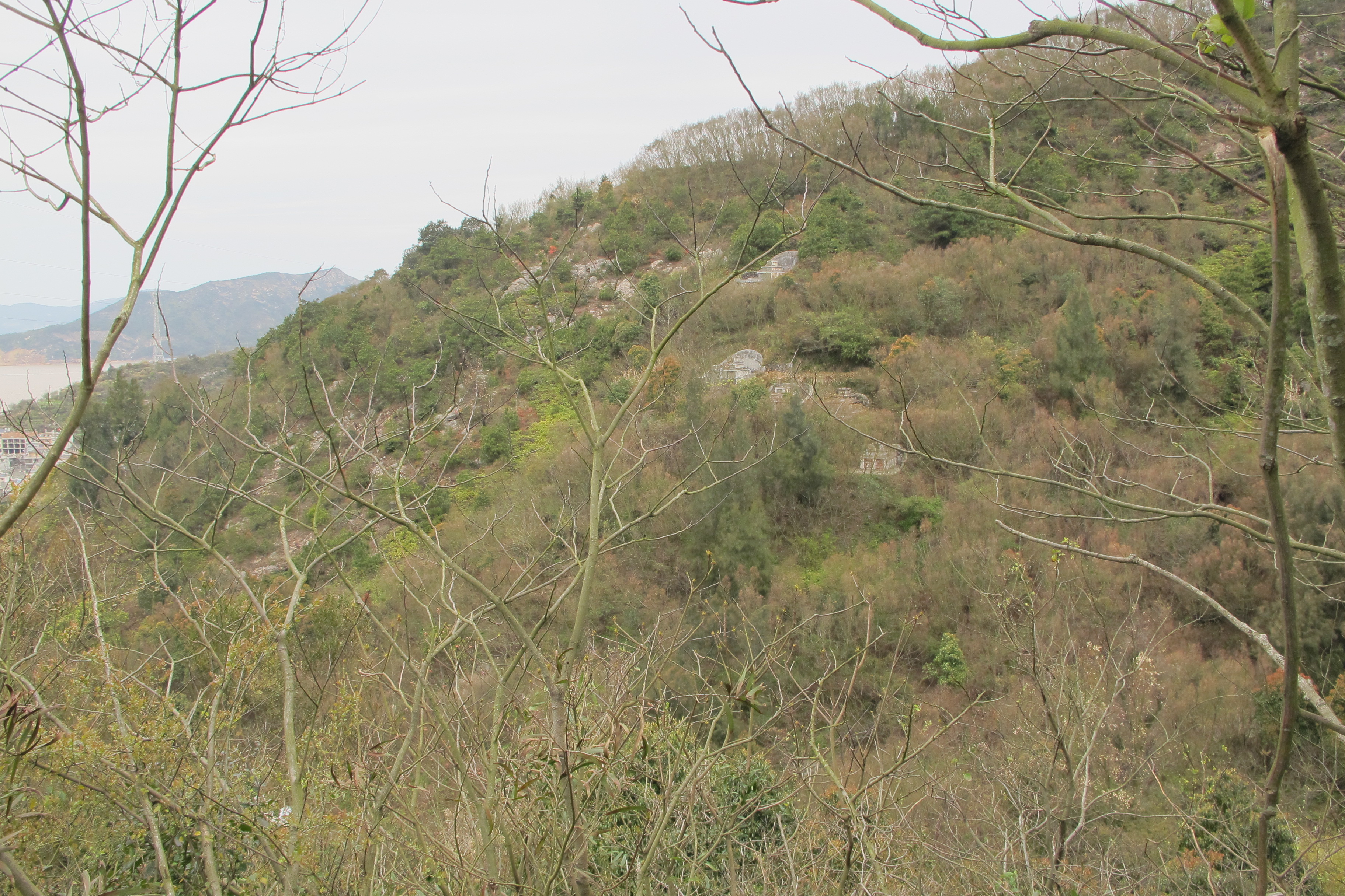 元觉街道状元烟墩炮山森林公园