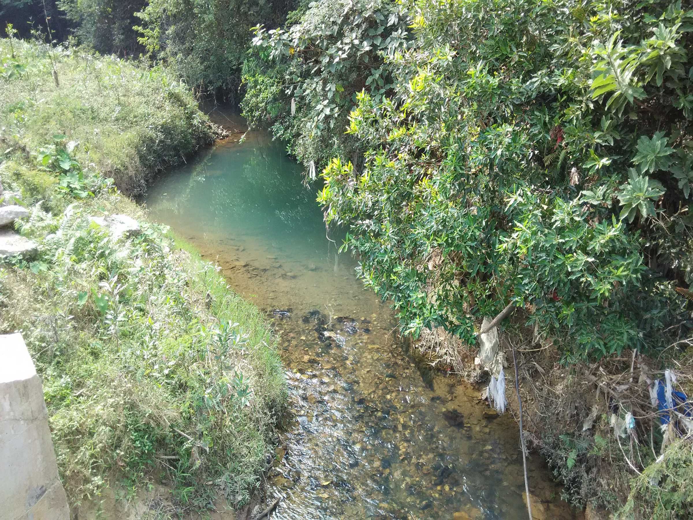 礼坑沥