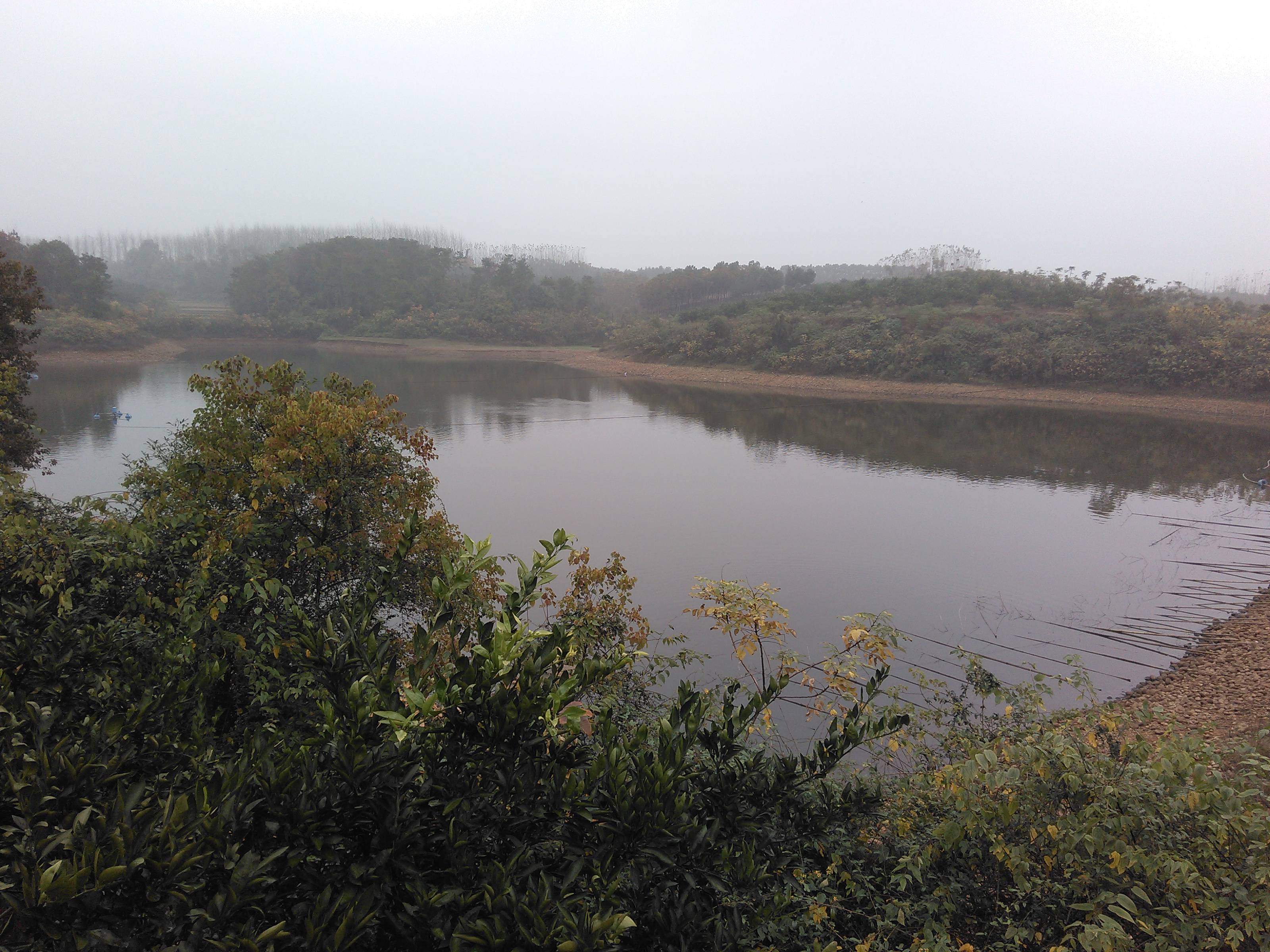 裴家岗村郑家湾水库