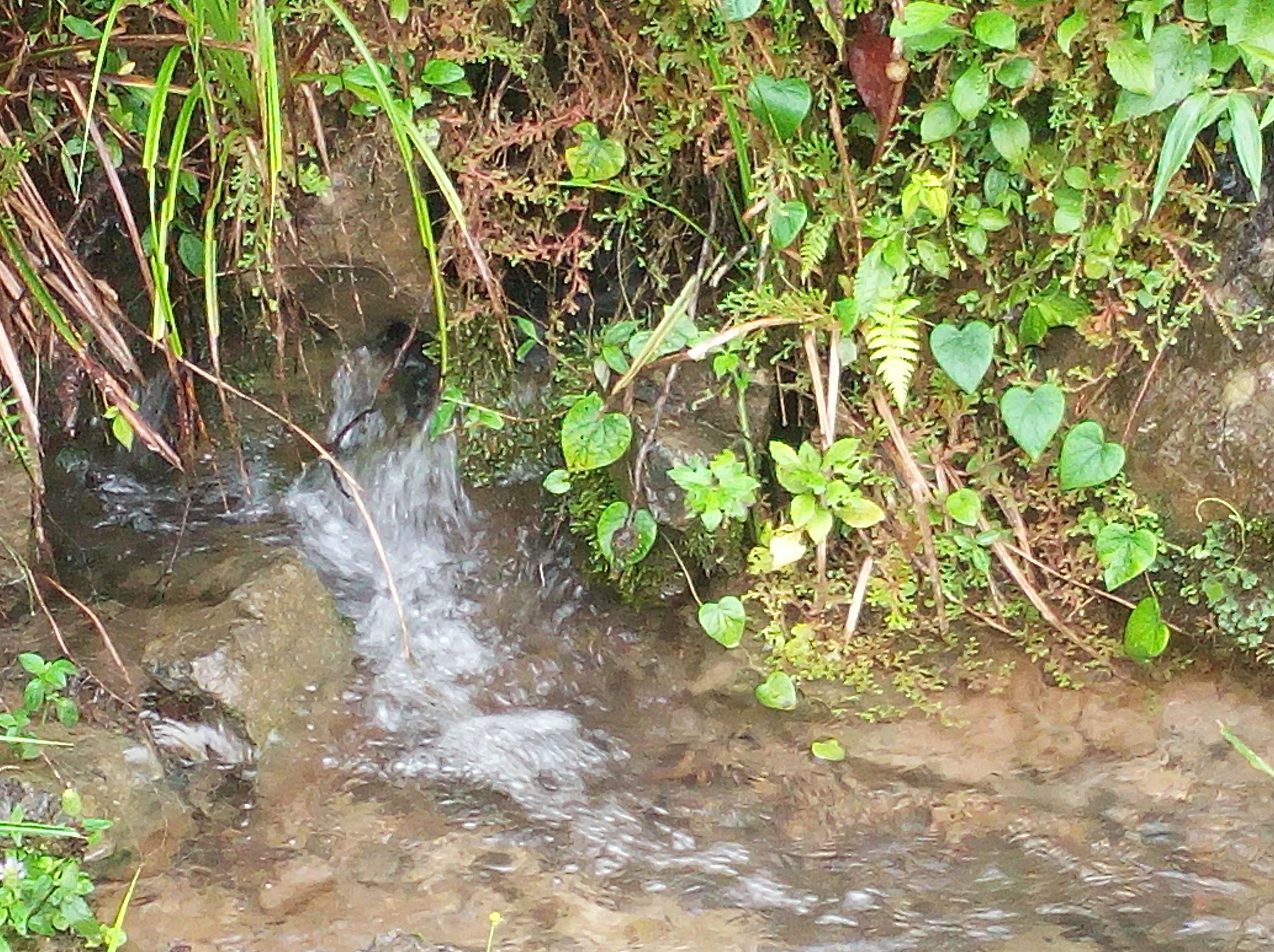 城子上矿泉水