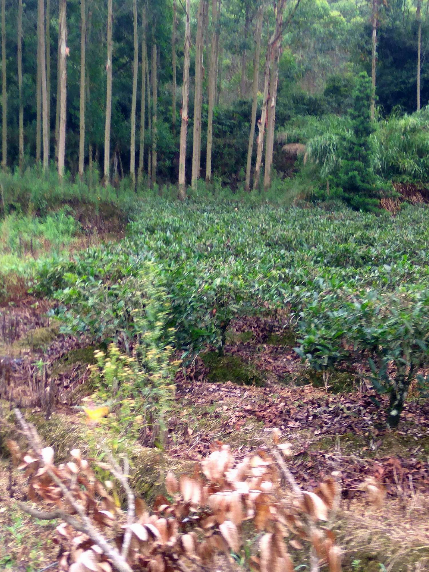 西岩水库