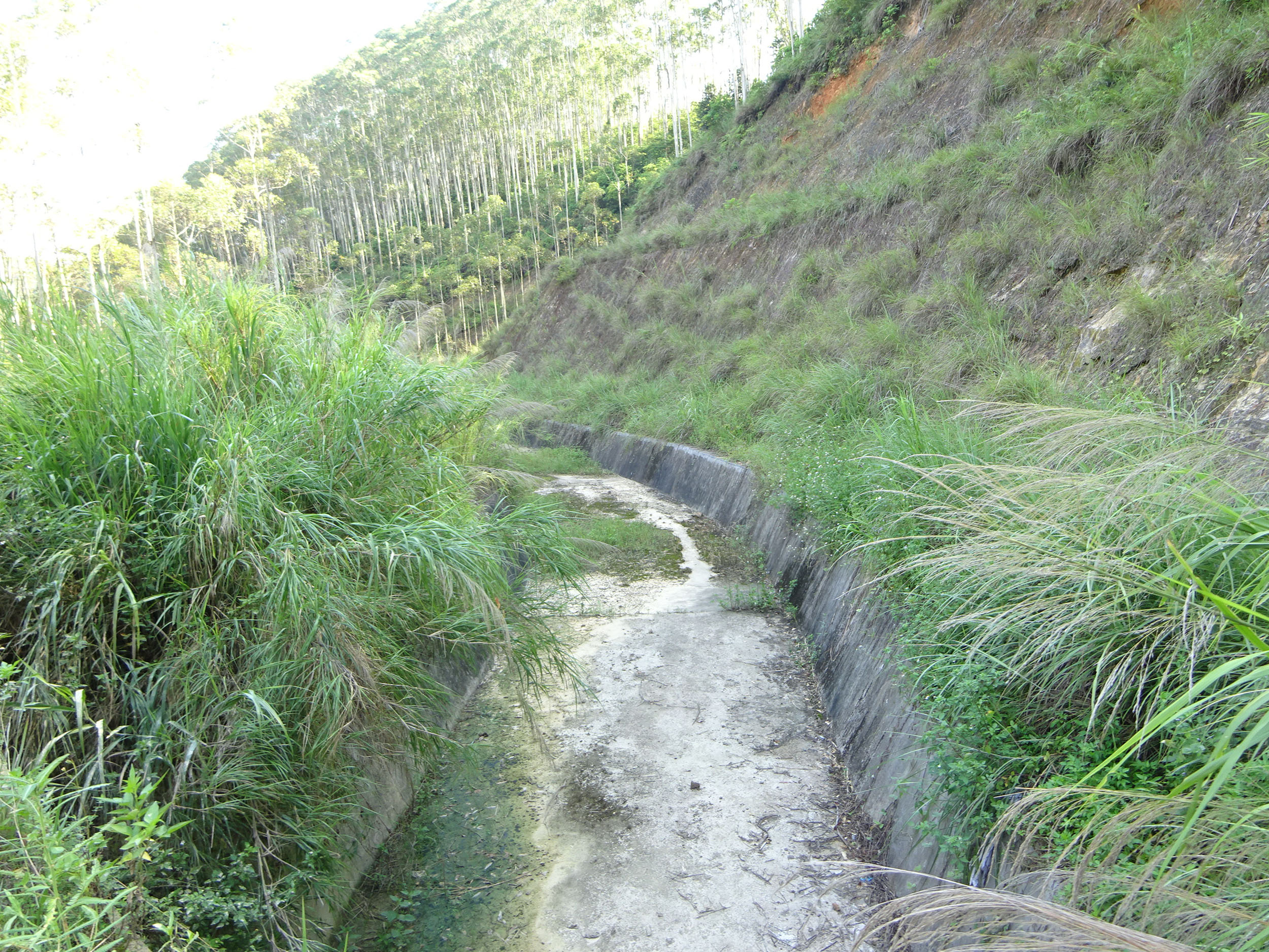 榃虫水库