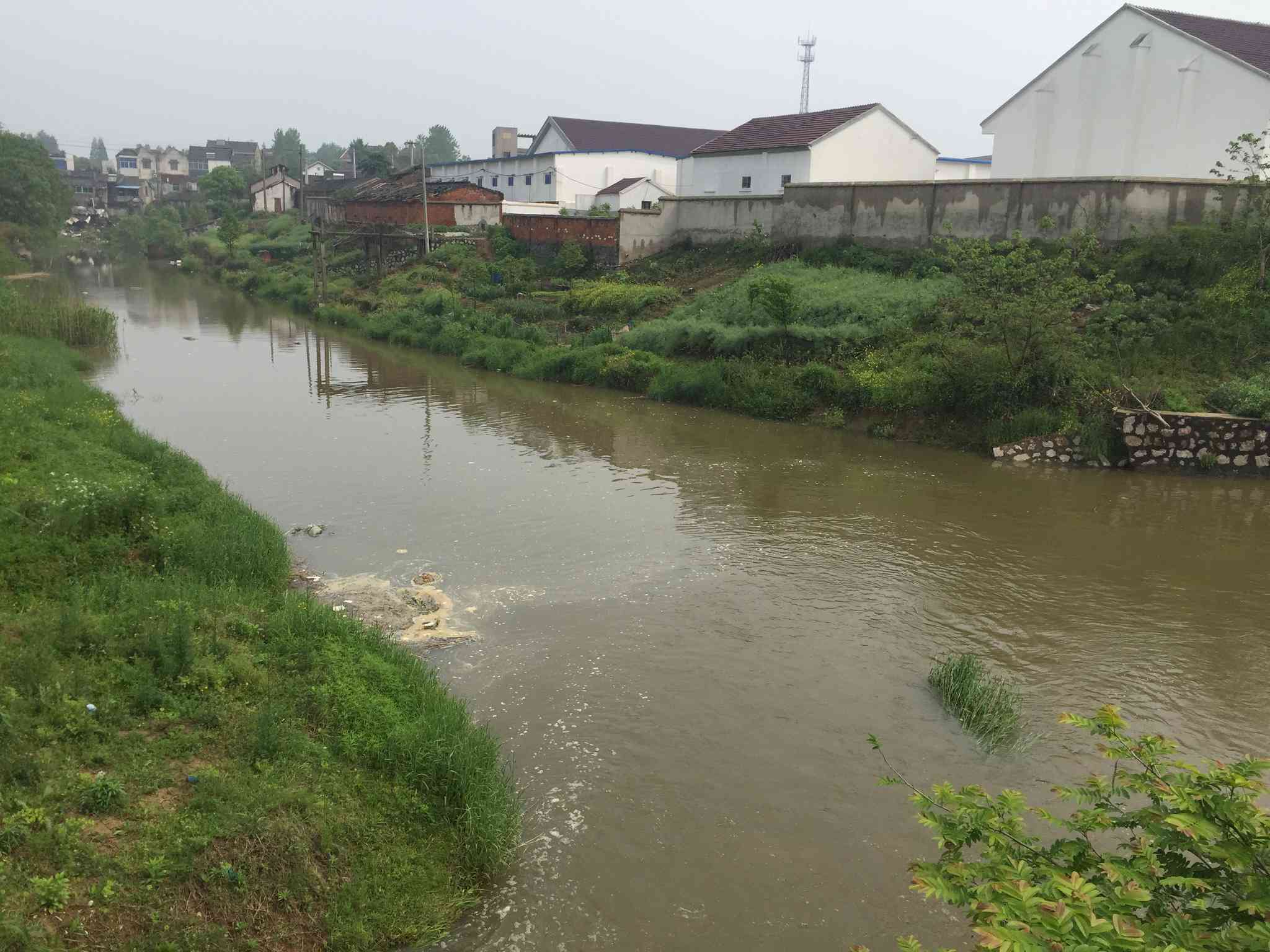 西阳内河