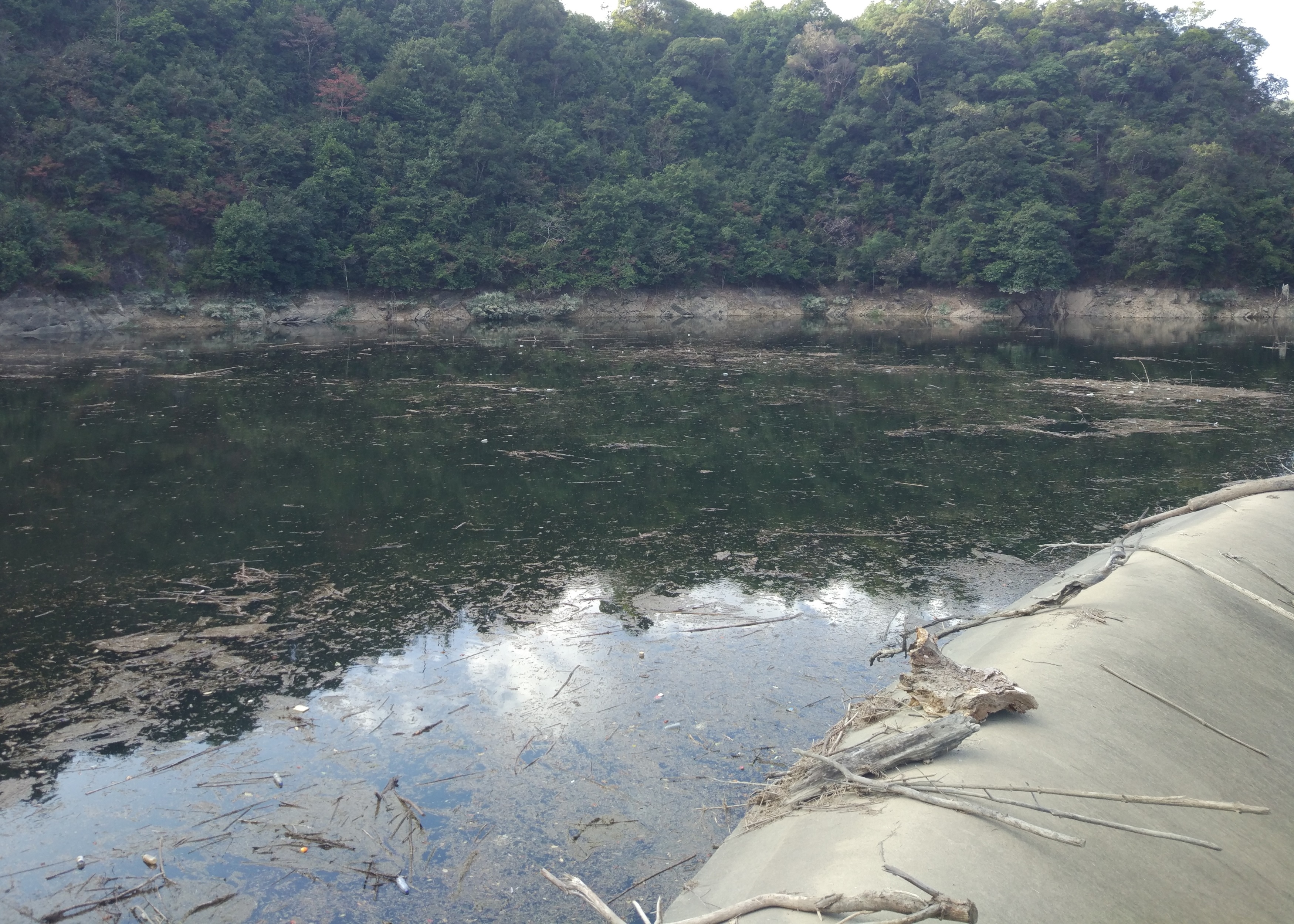 黄金湾水库