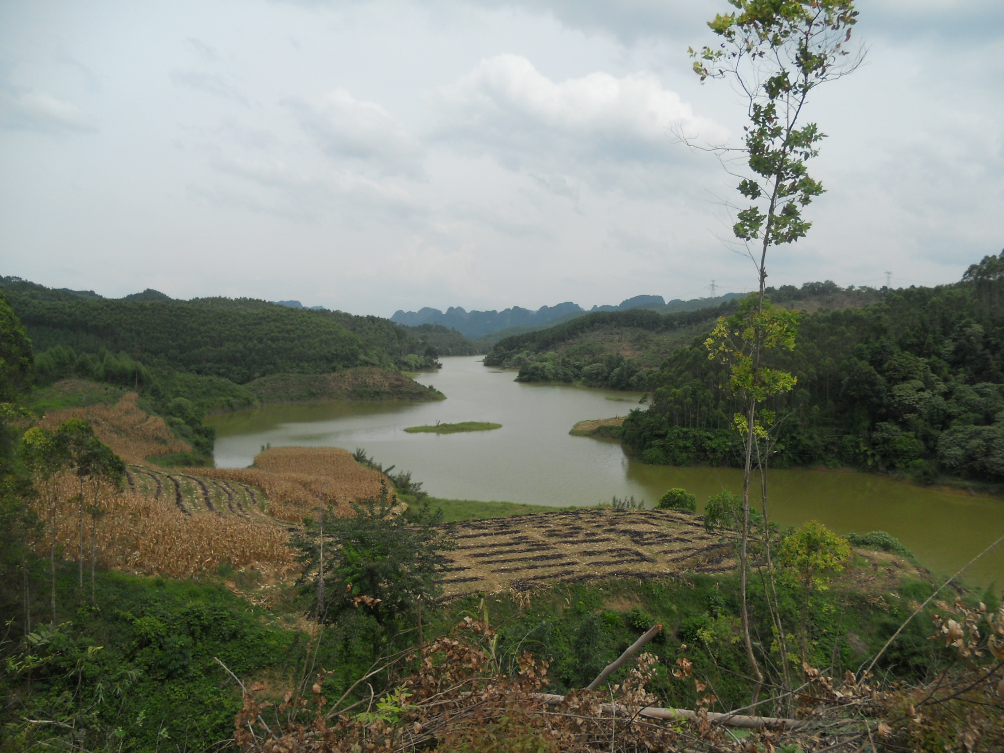 坡雷水库