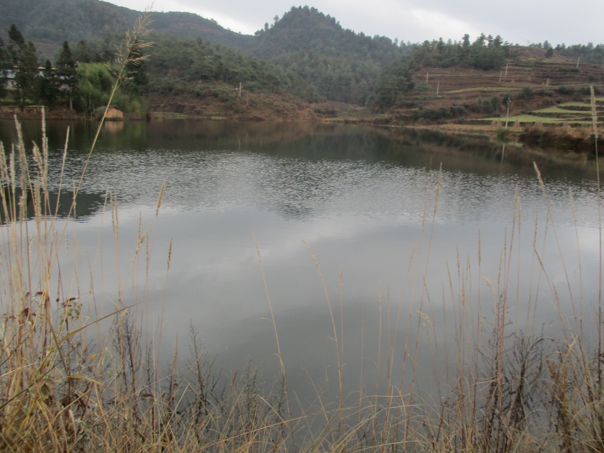 李子沟水库