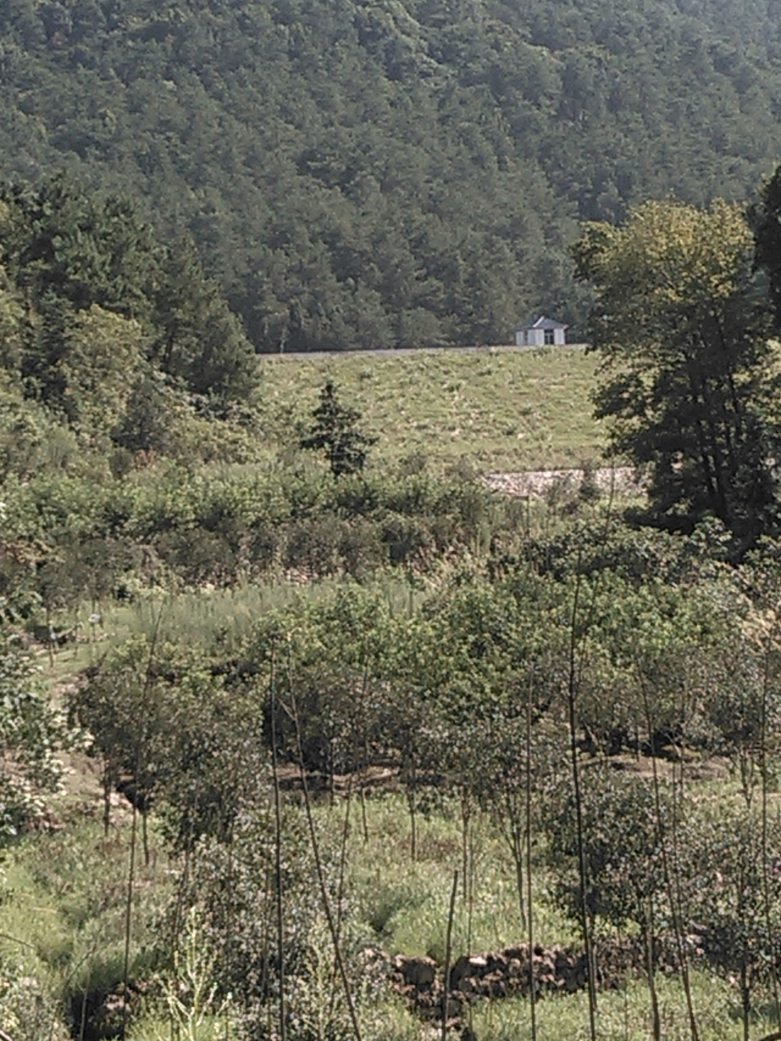 牛栏栓水库