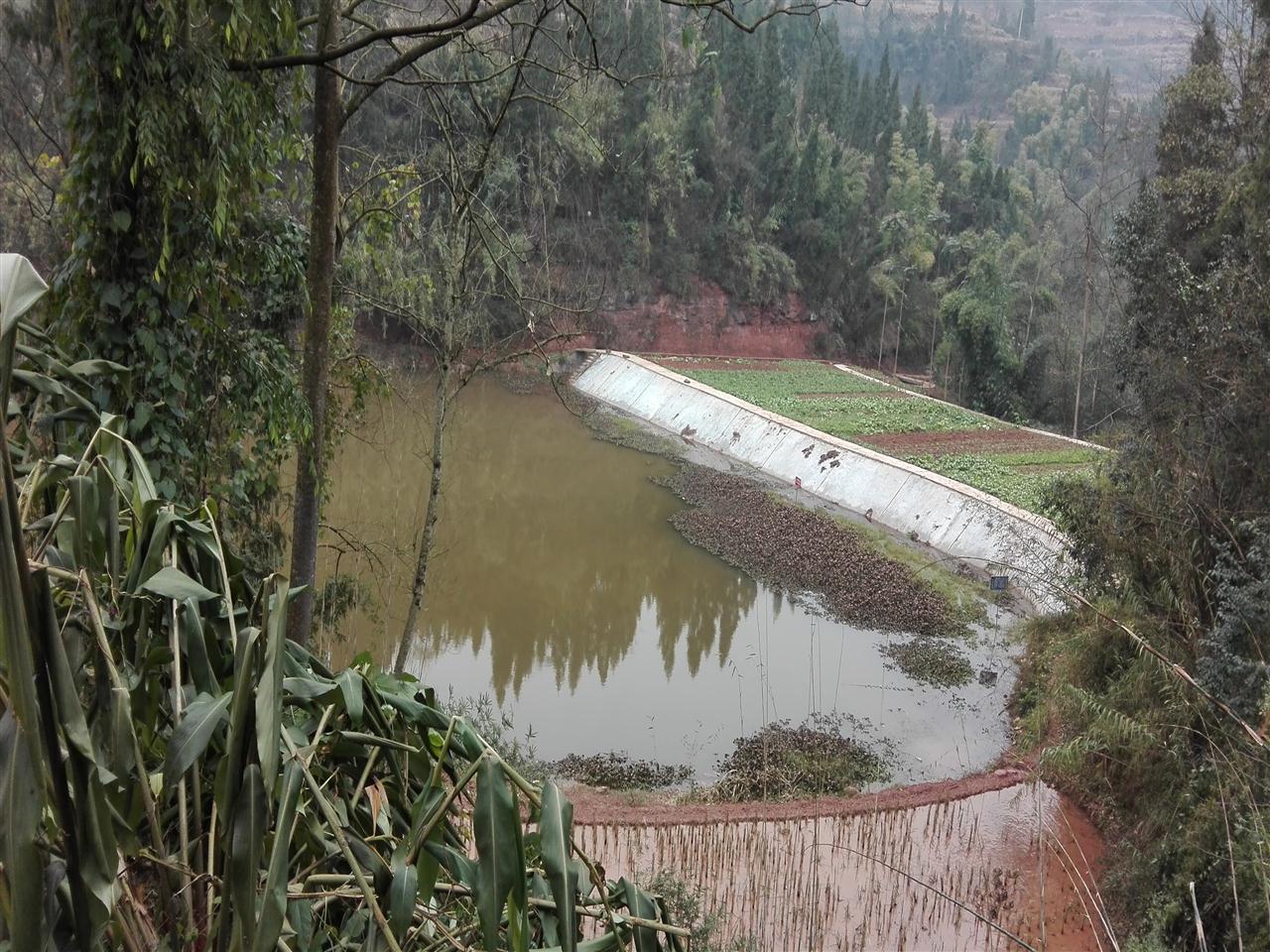 崔家湾水库