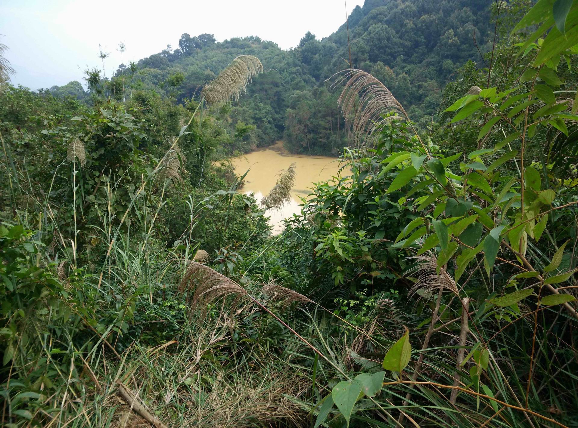 石爽头水库