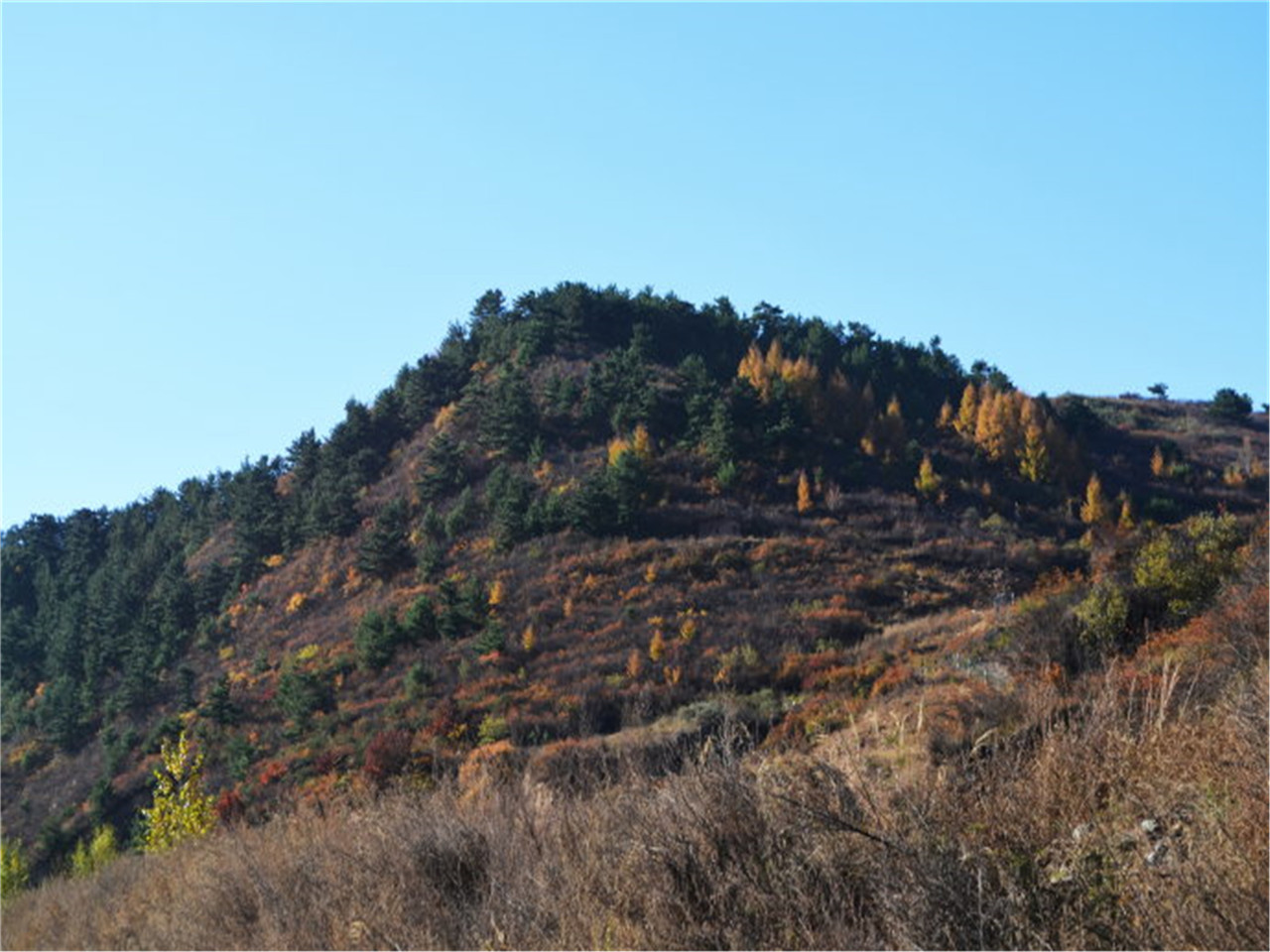 狐爷山风景区