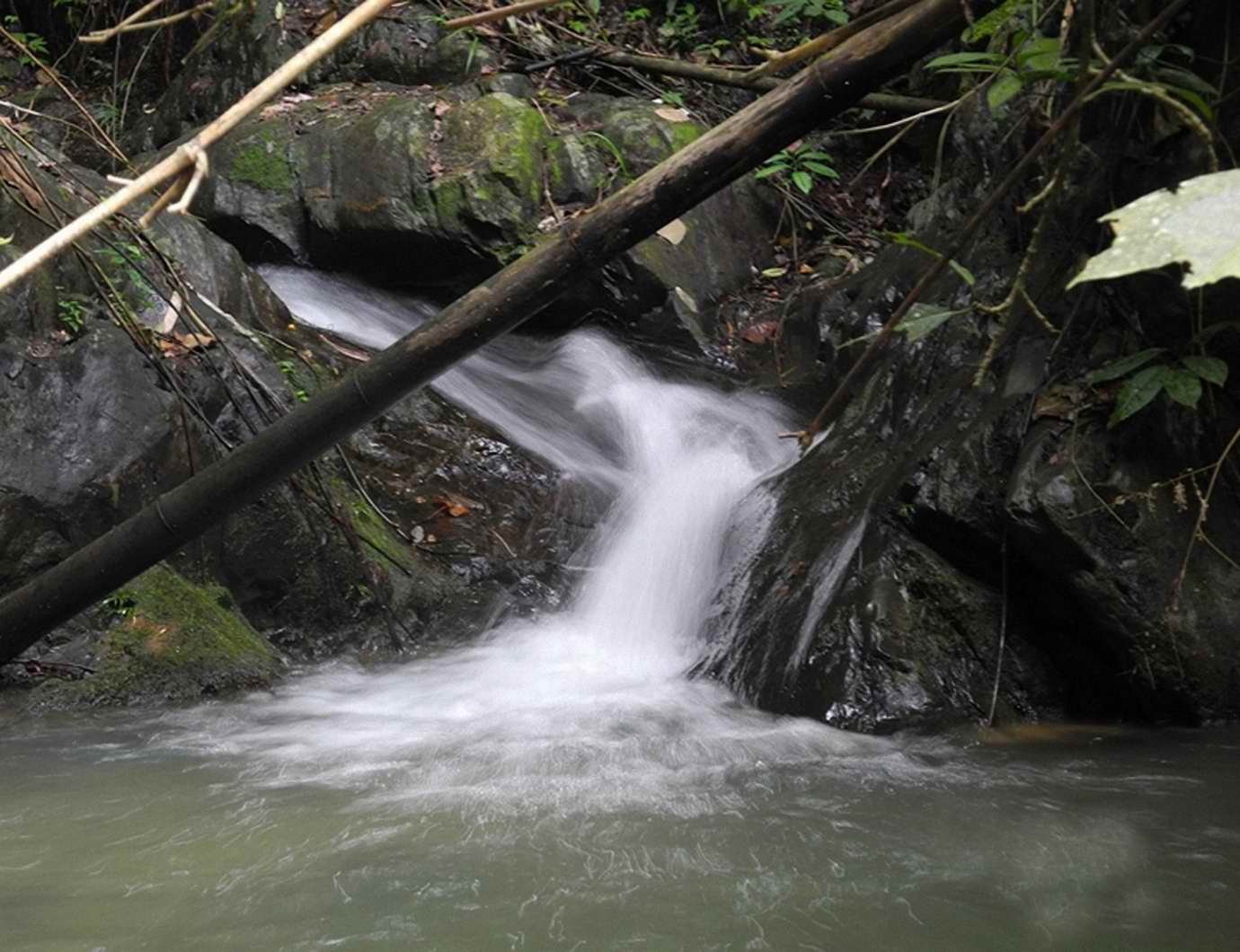 金龟山泉