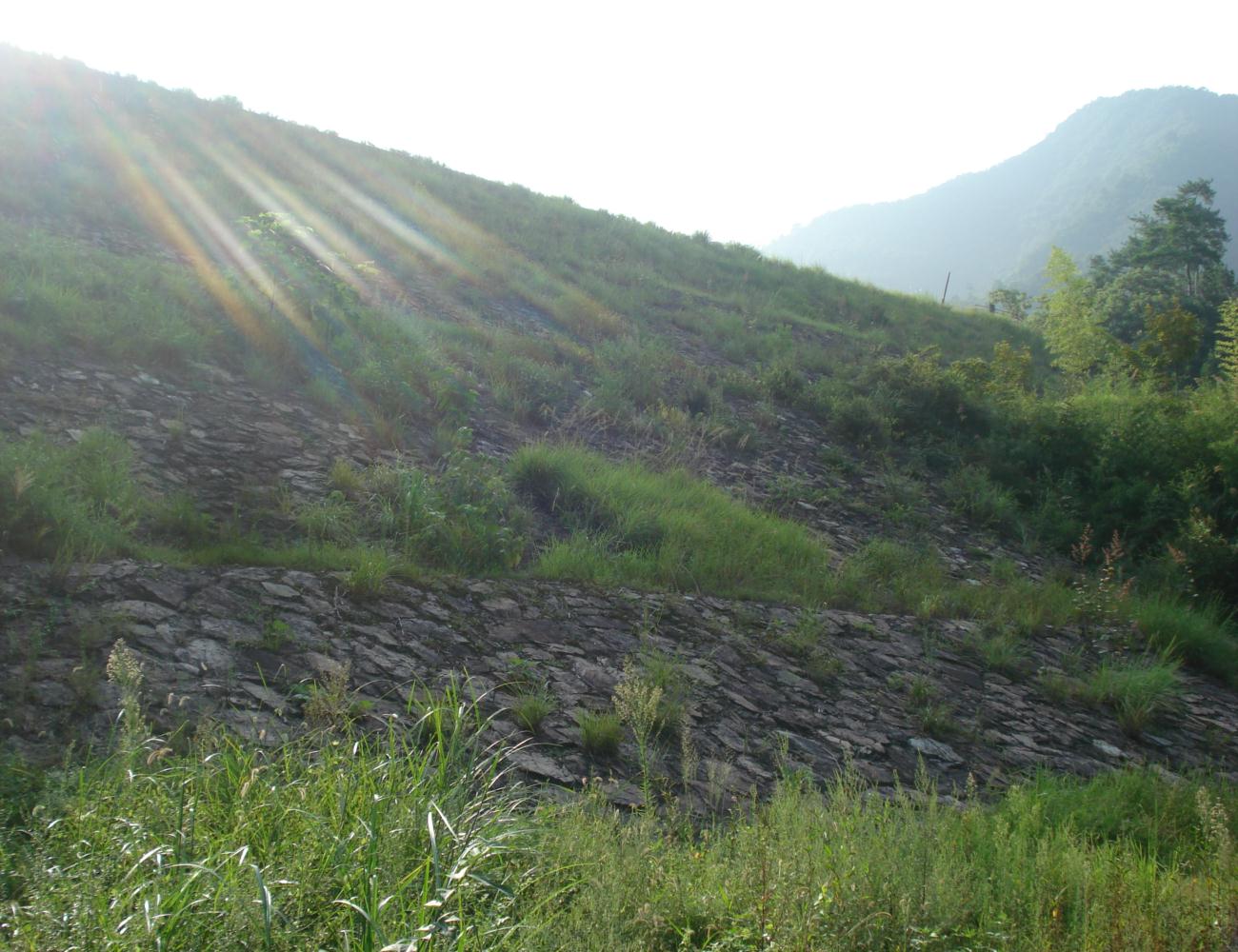 江岭水库