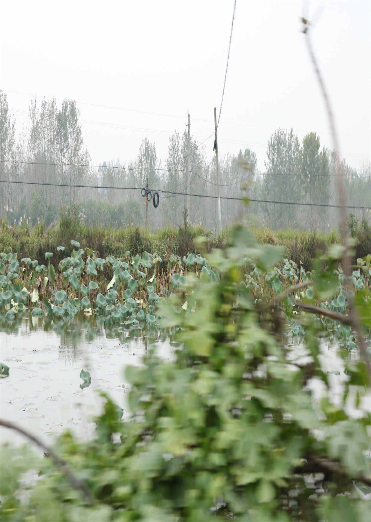 方寨北水库